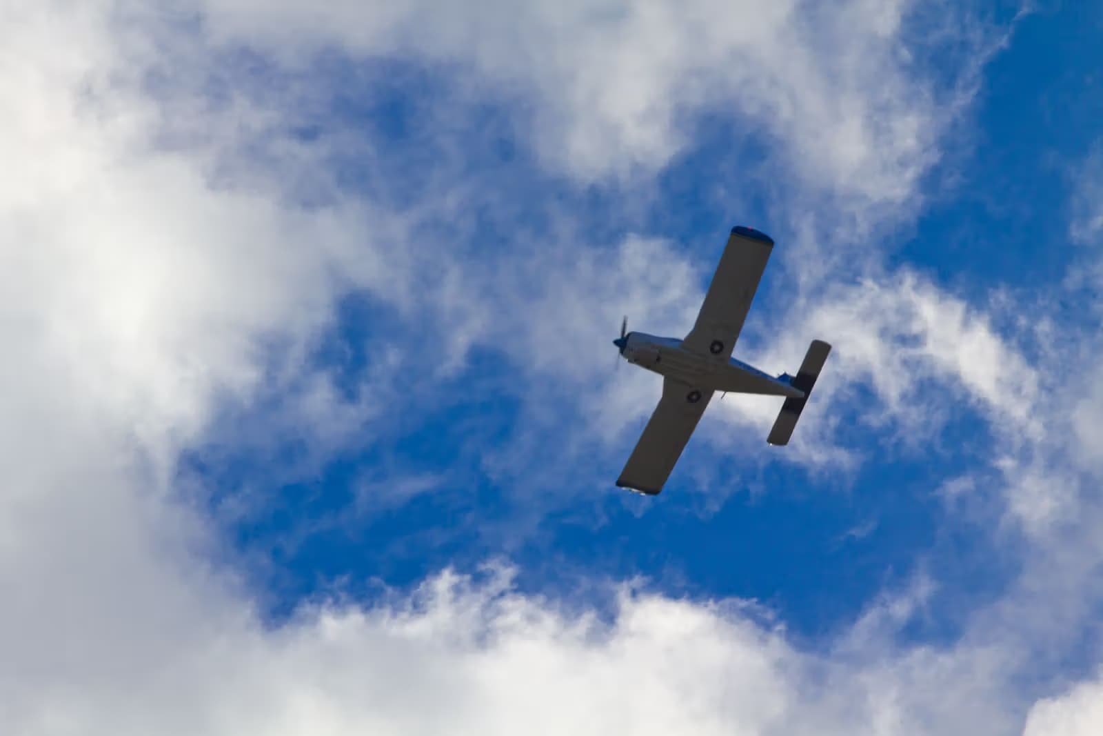 N41230 — Single-engine aircraft
