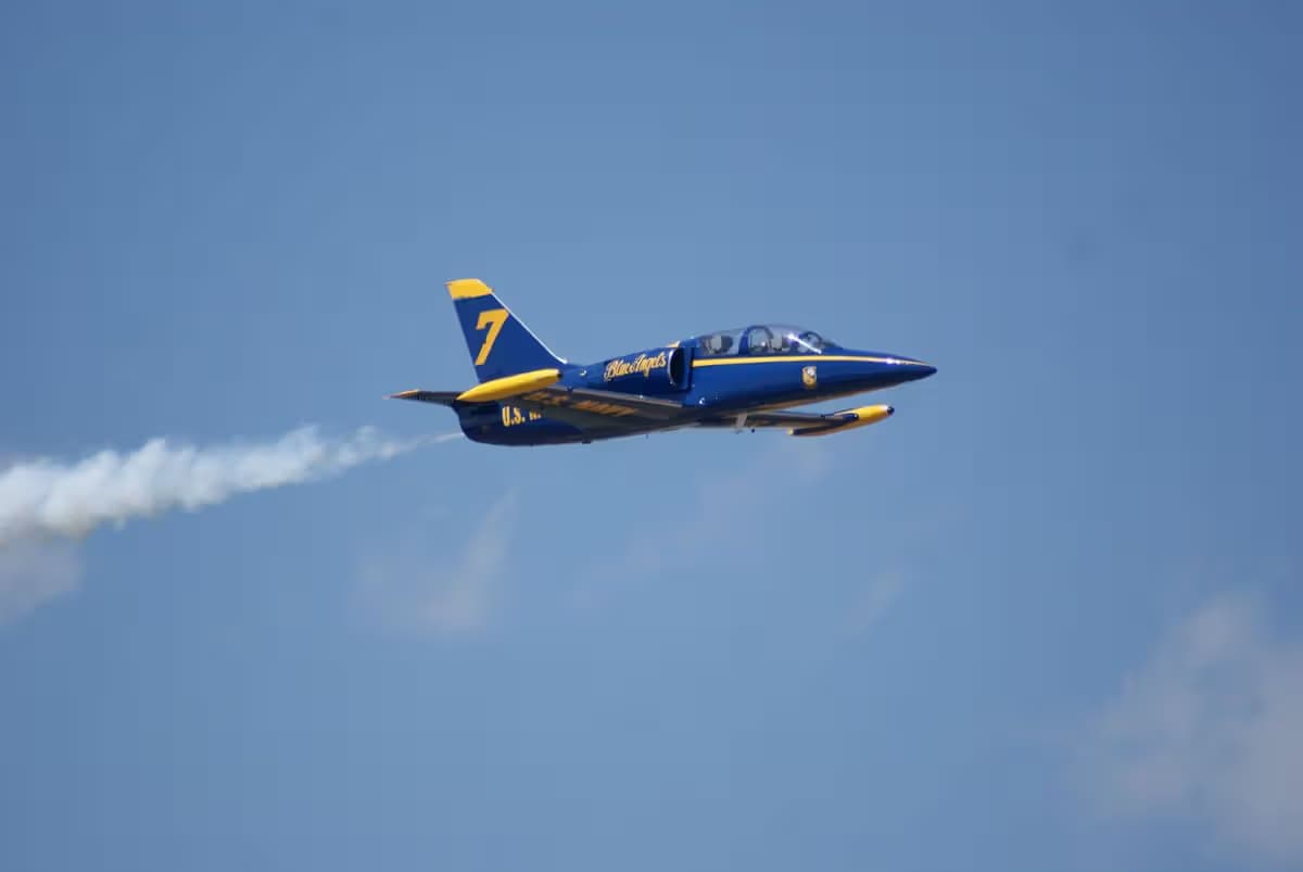 N139PJ — Single-engine aircraft