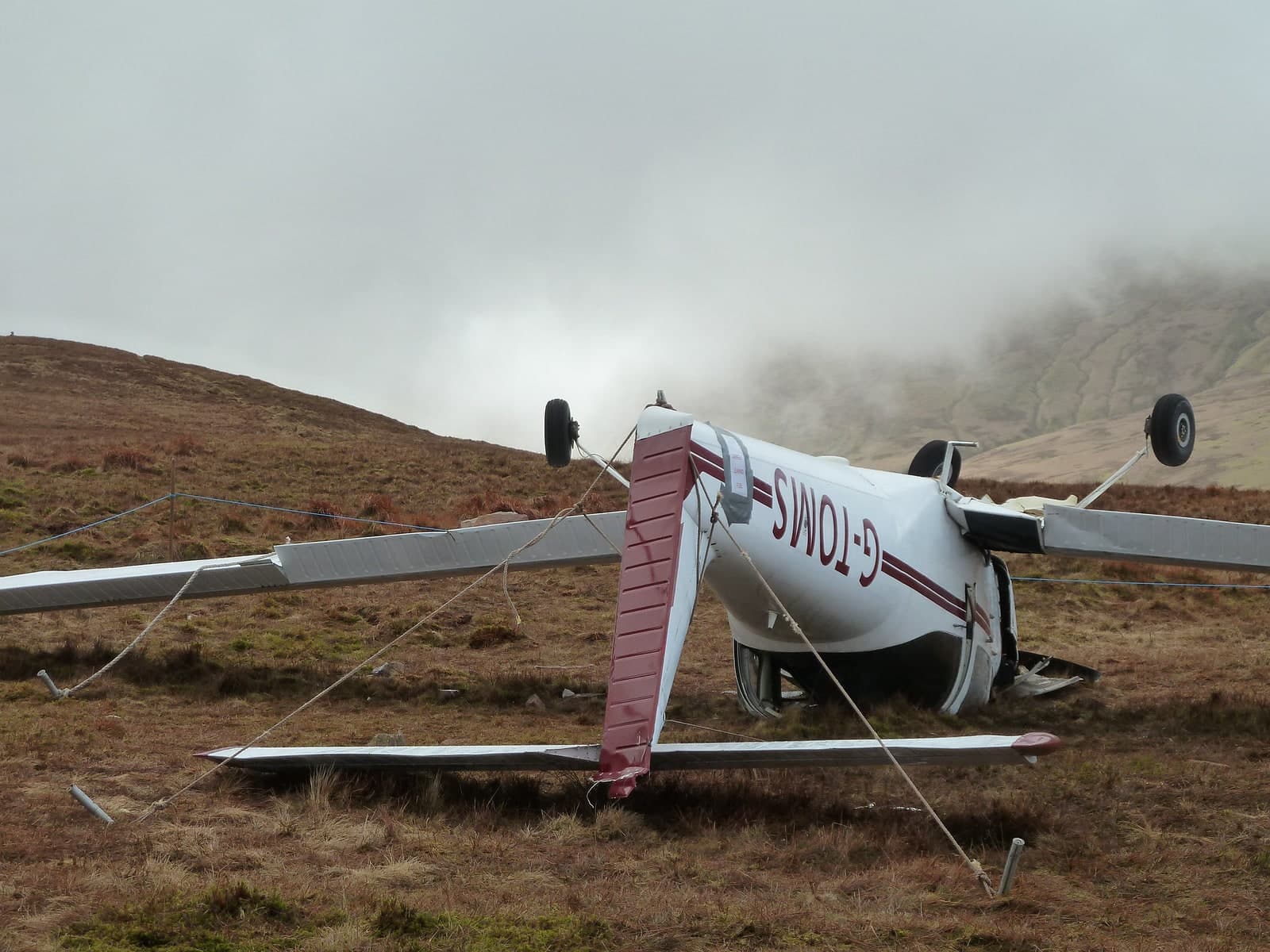 G-TOMS — Single-engine aircraft