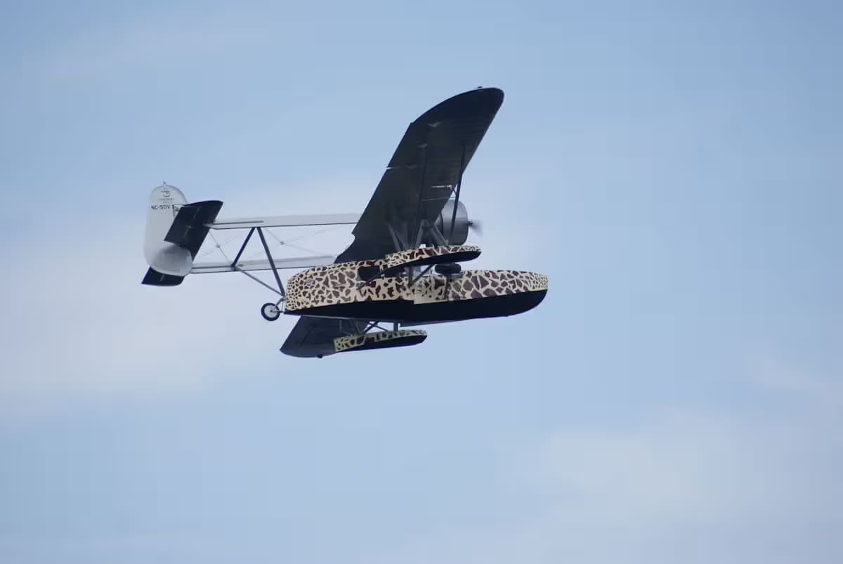 Unidentified — Single-engine aircraft