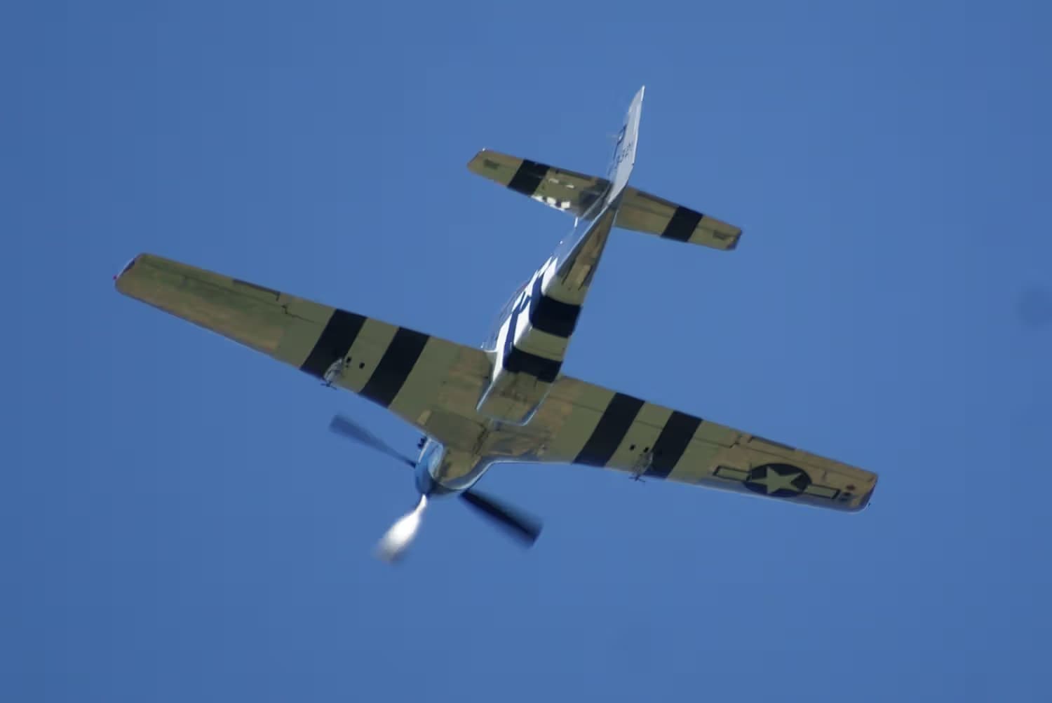 Unidentified — Warbird