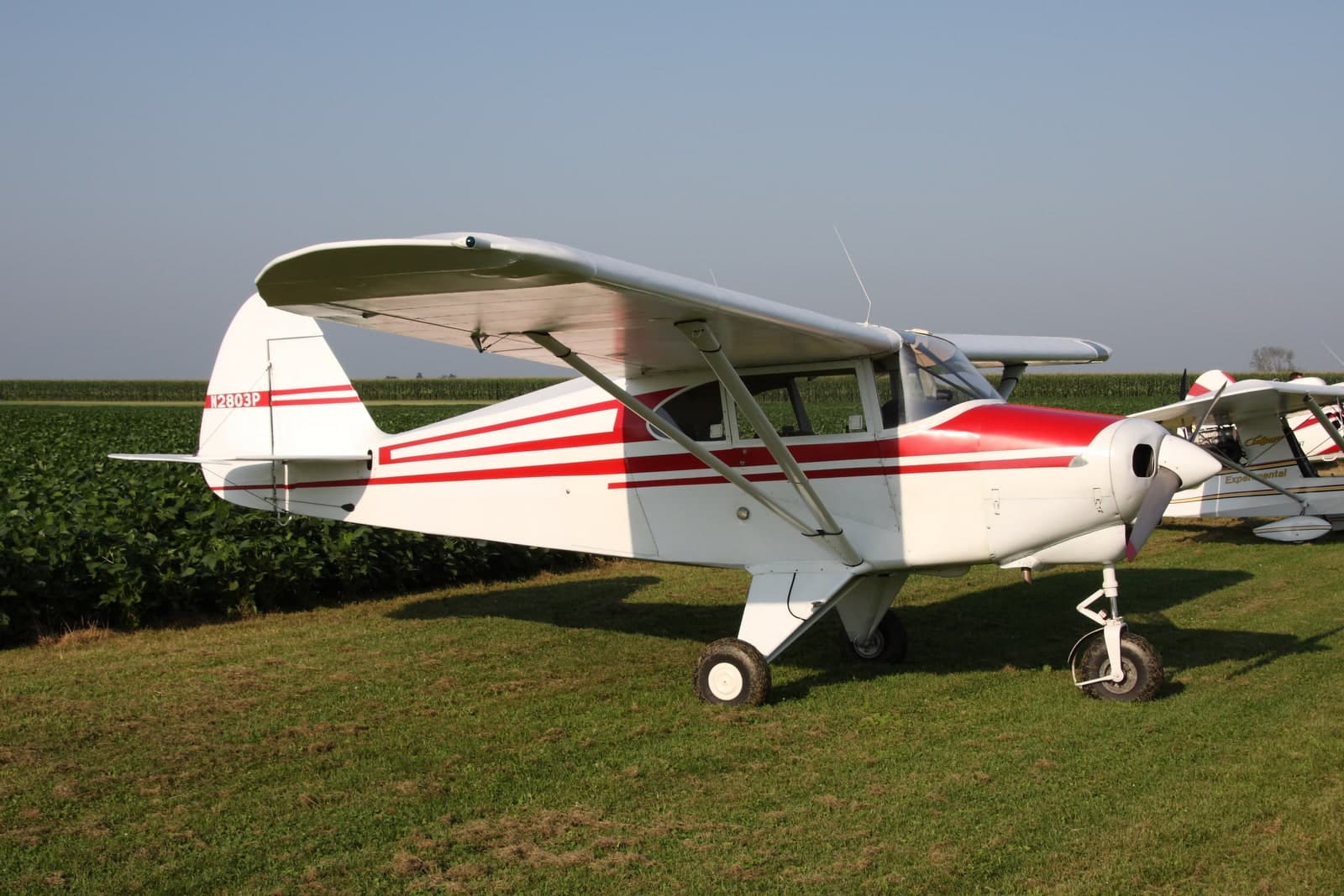 N2803P — Piper