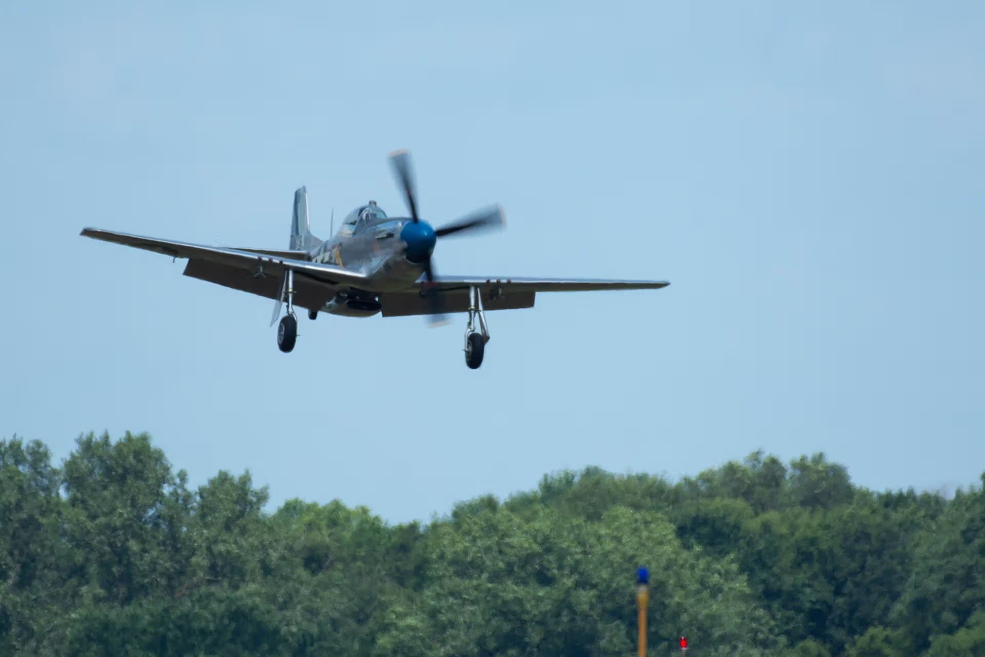 N1751D — Single-engine aircraft