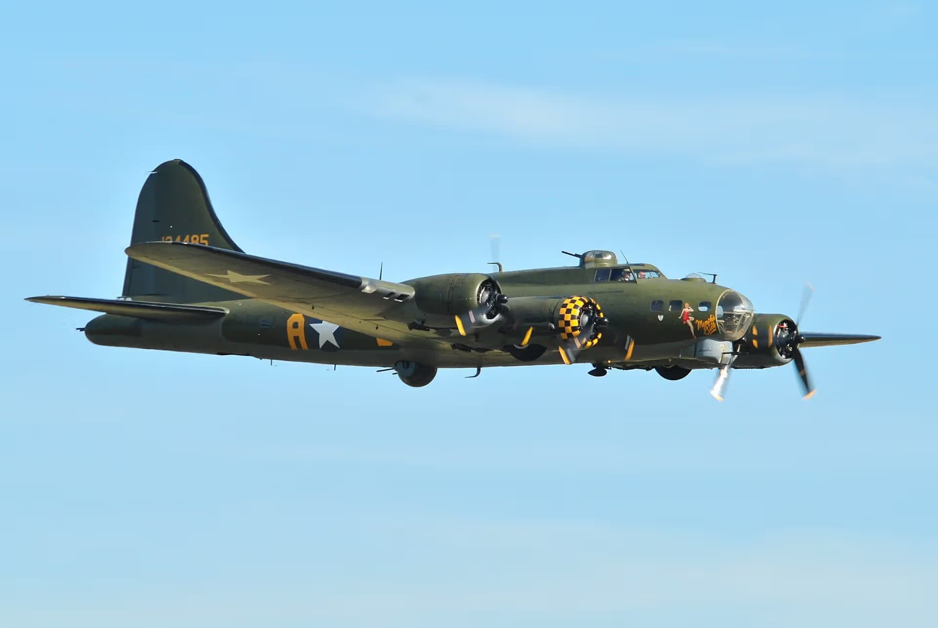 Unidentified — Warbird