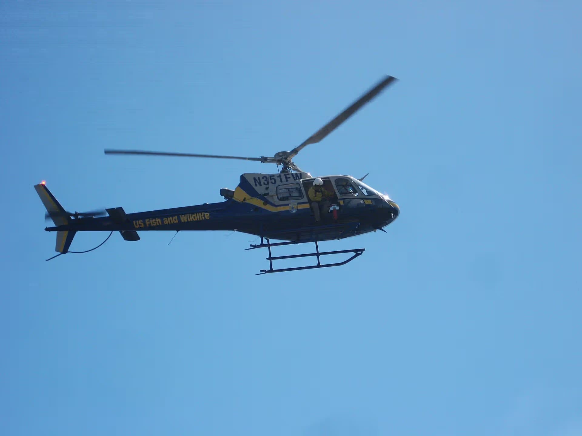 N351FW — Helicopter