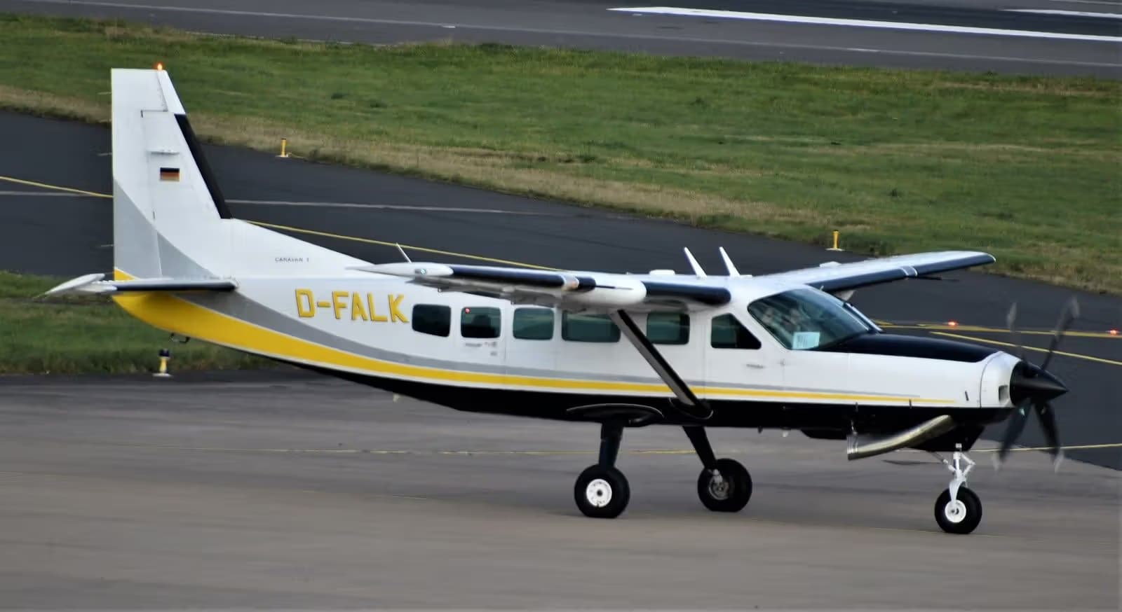 D-FALK — Cessna