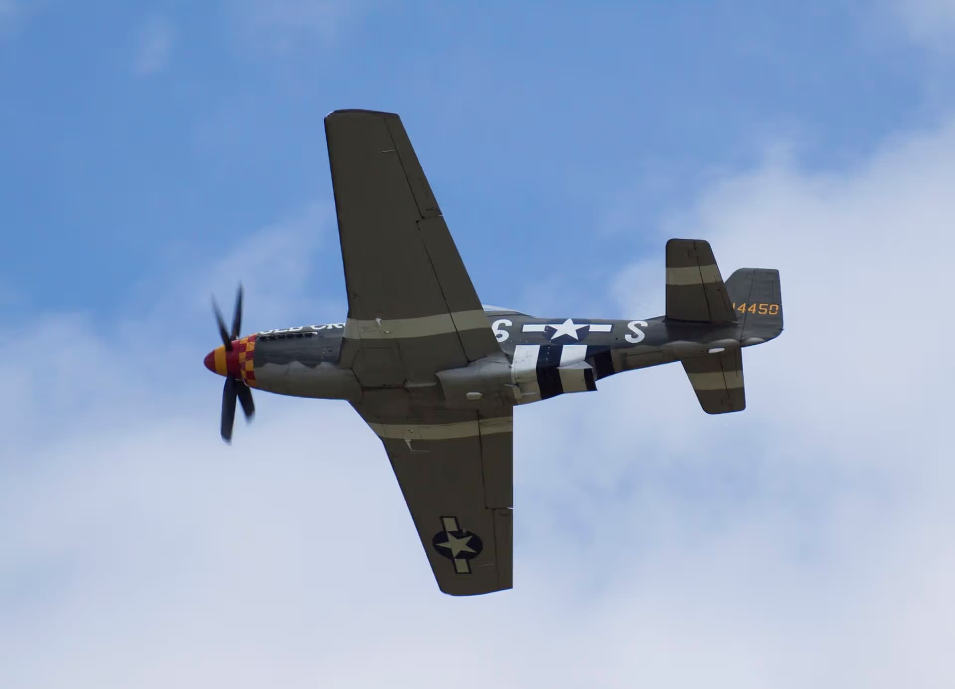 Unidentified — Warbird