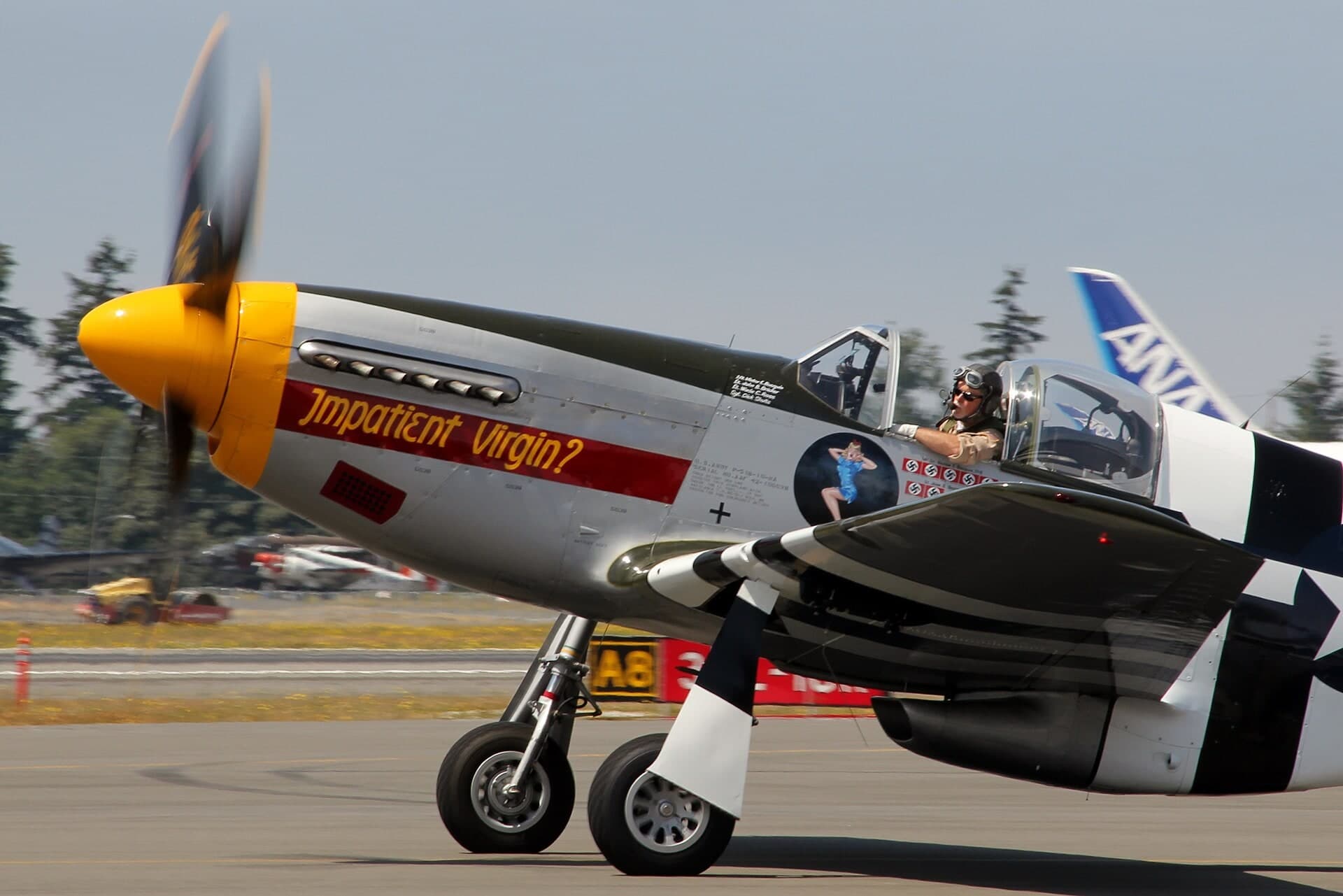 N5087F — Warbird