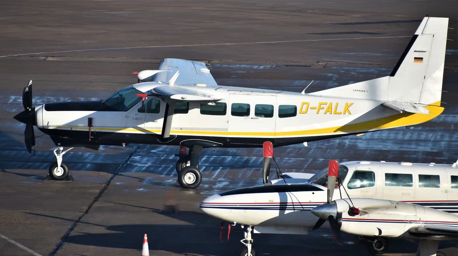 D-FALK — Twin-engine aircraft