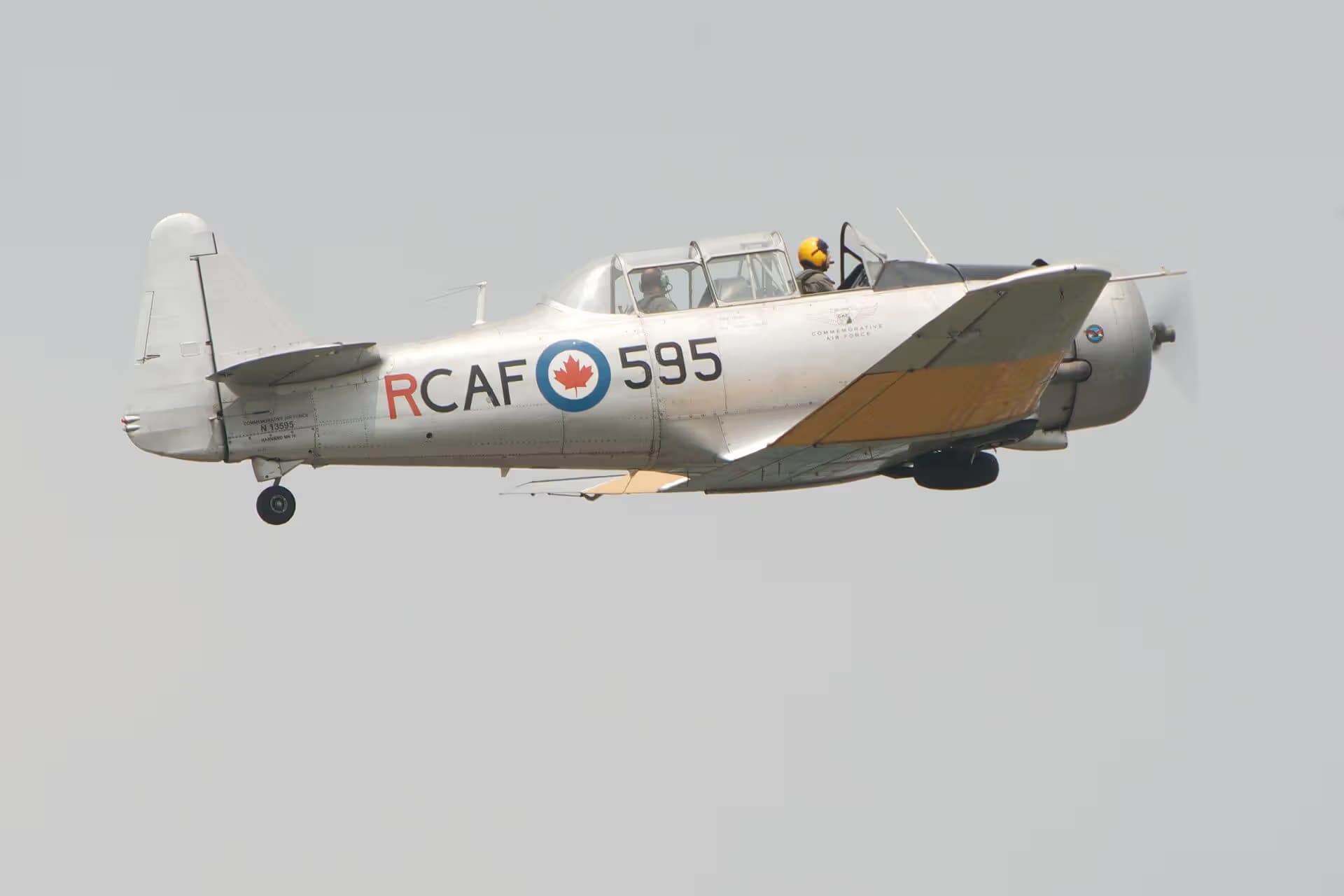 N13595 — Single-engine aircraft