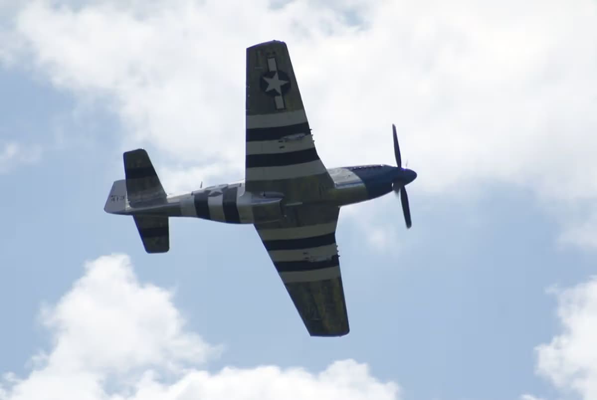 Unidentified — Warbird