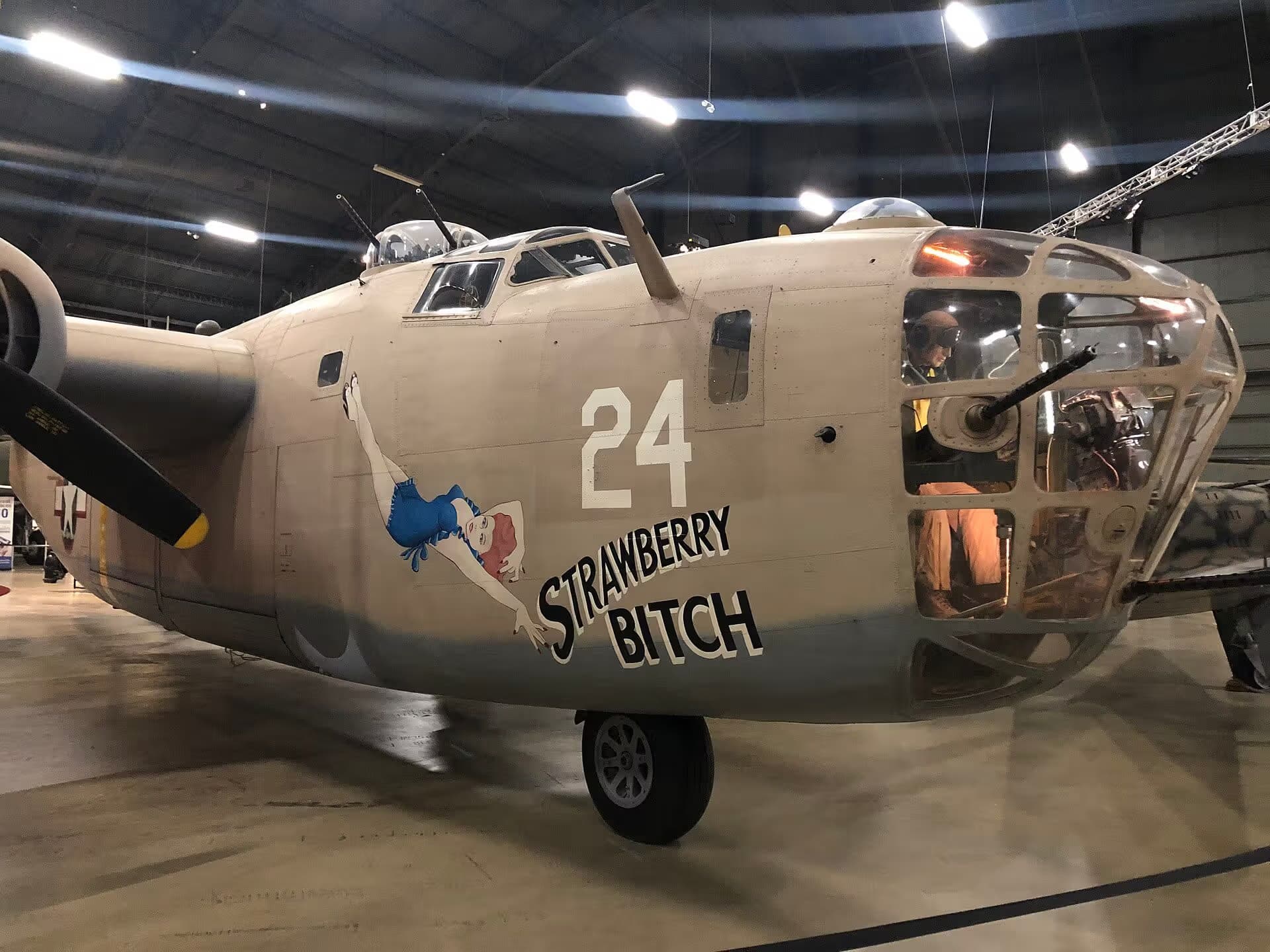 Unidentified — Warbird
