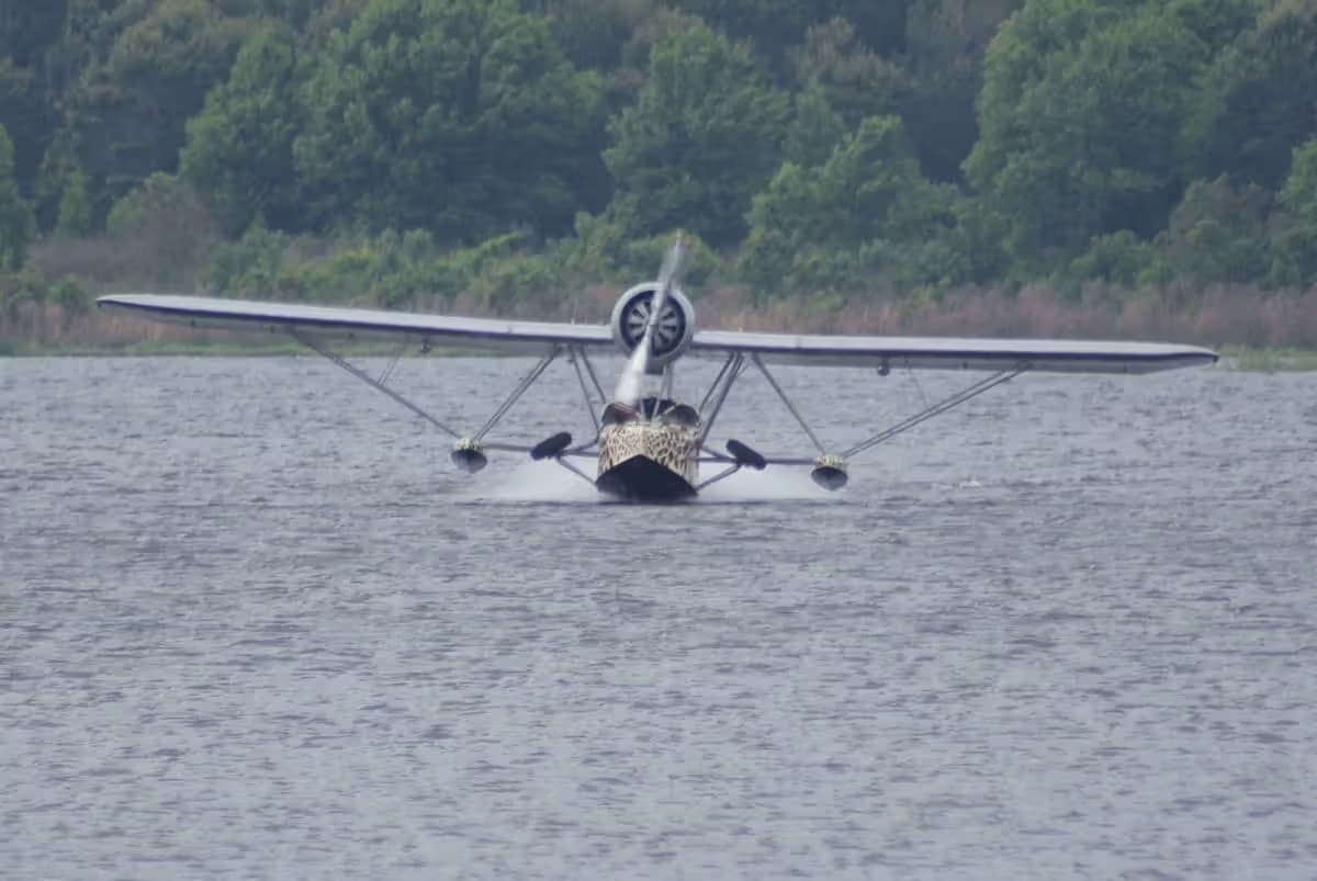 Unidentified — Single-engine aircraft