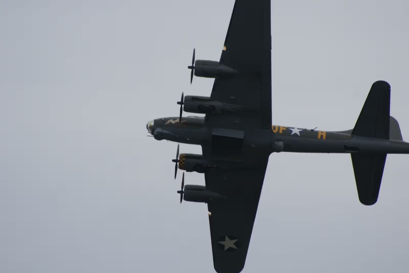 Unidentified — Warbird