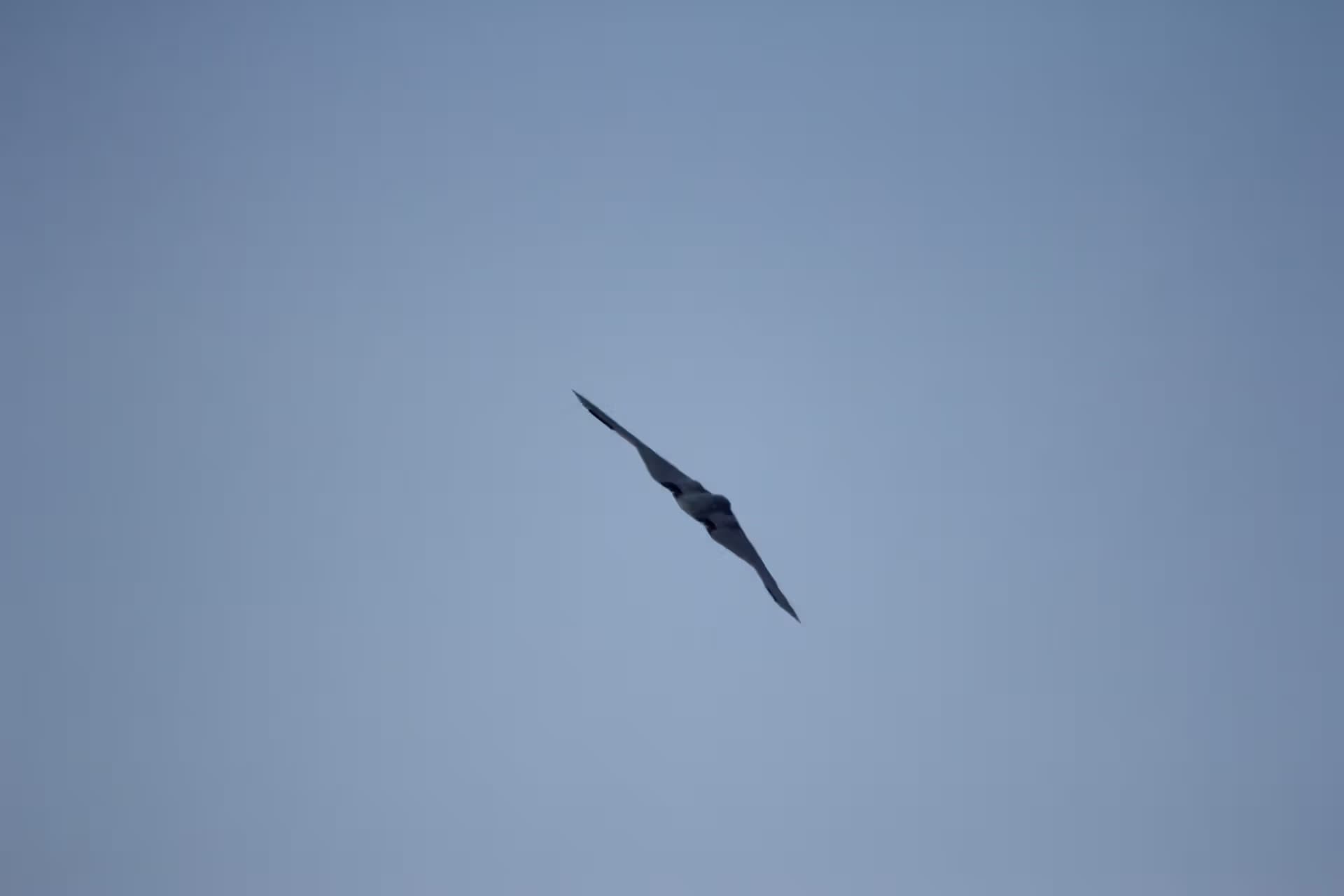 Unidentified — Aircraft