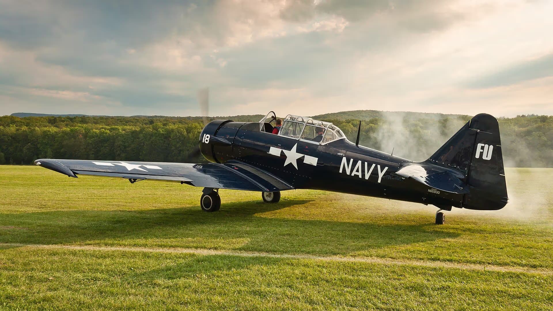 N6593D — Warbird