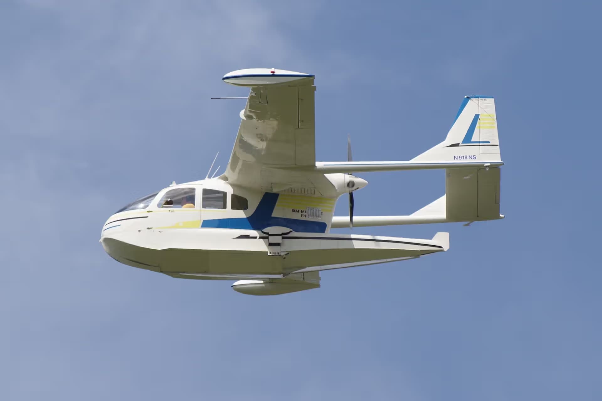 N918NS — Single-engine aircraft