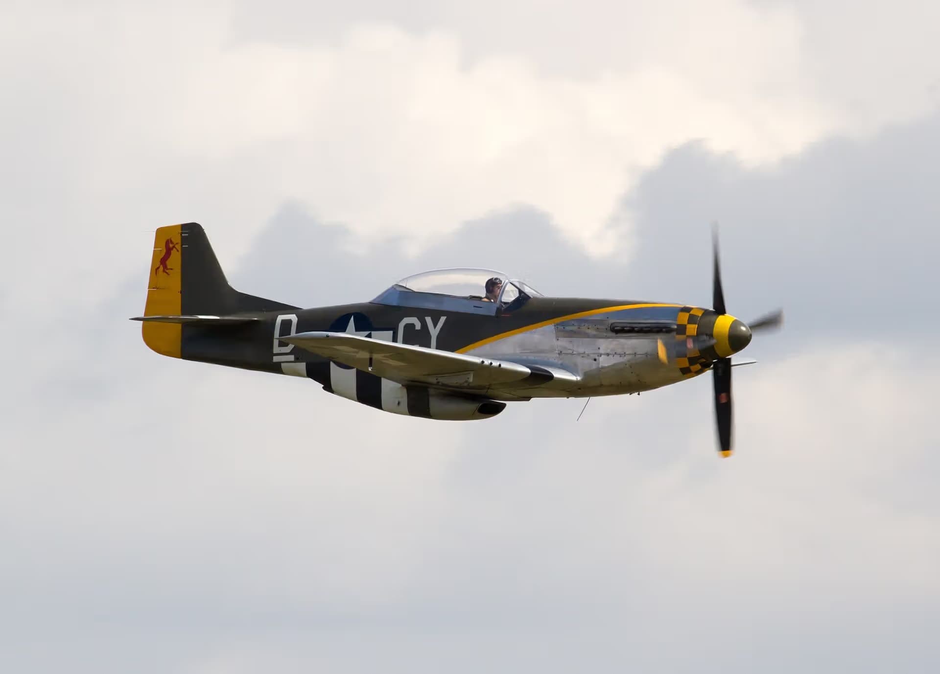 N251RJ — Warbird