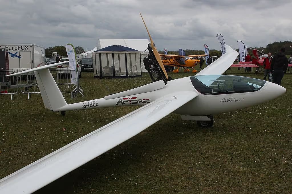 G-IBEE — Glider