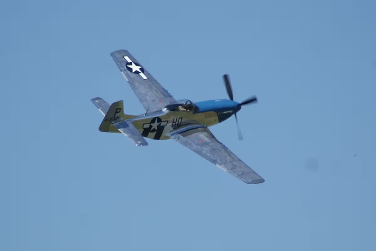 Unidentified — Warbird