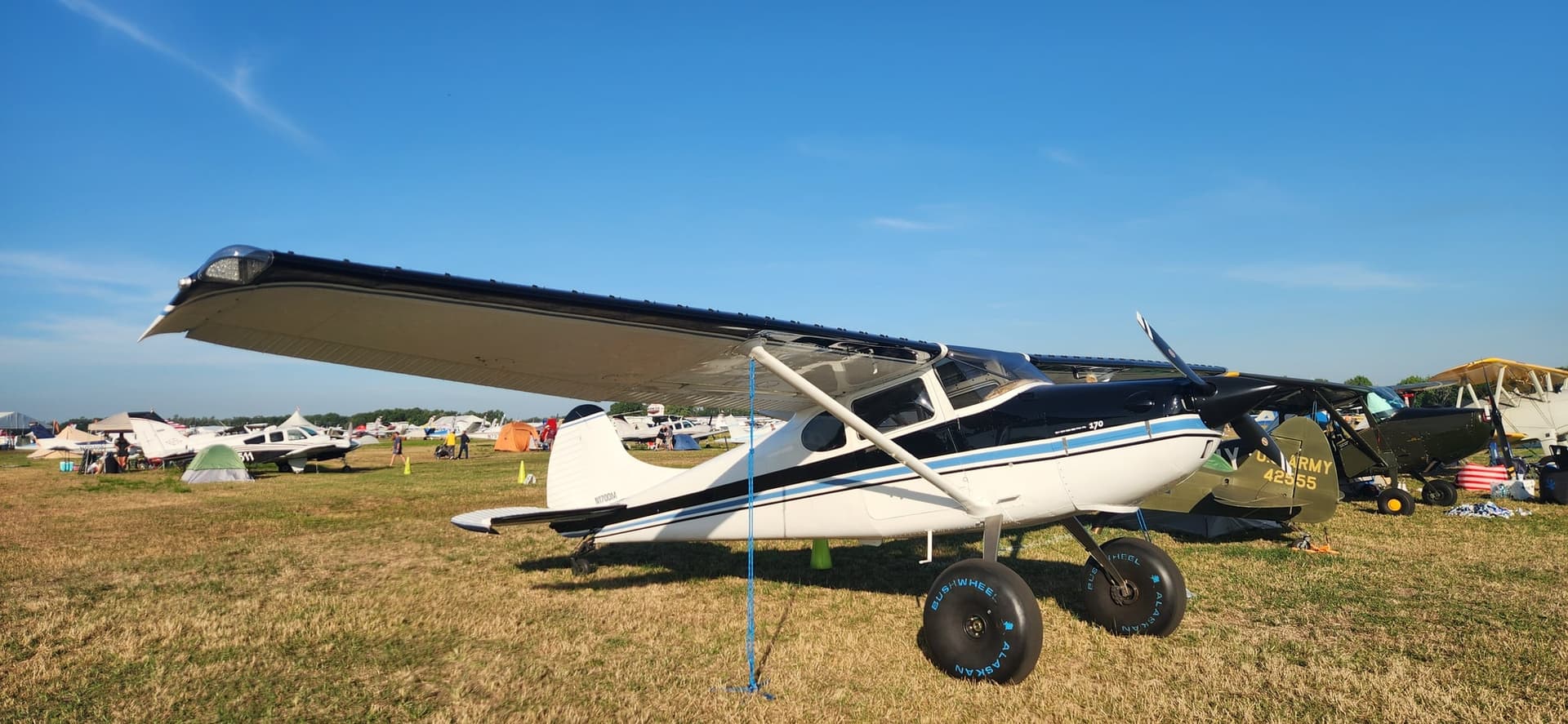 N170DM — Cessna 170B at Lakeland Linder Intl