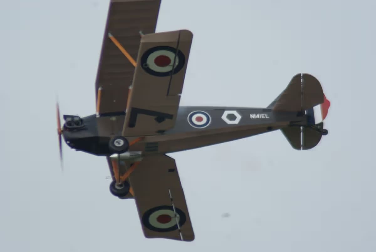 N141EL — Single-engine aircraft