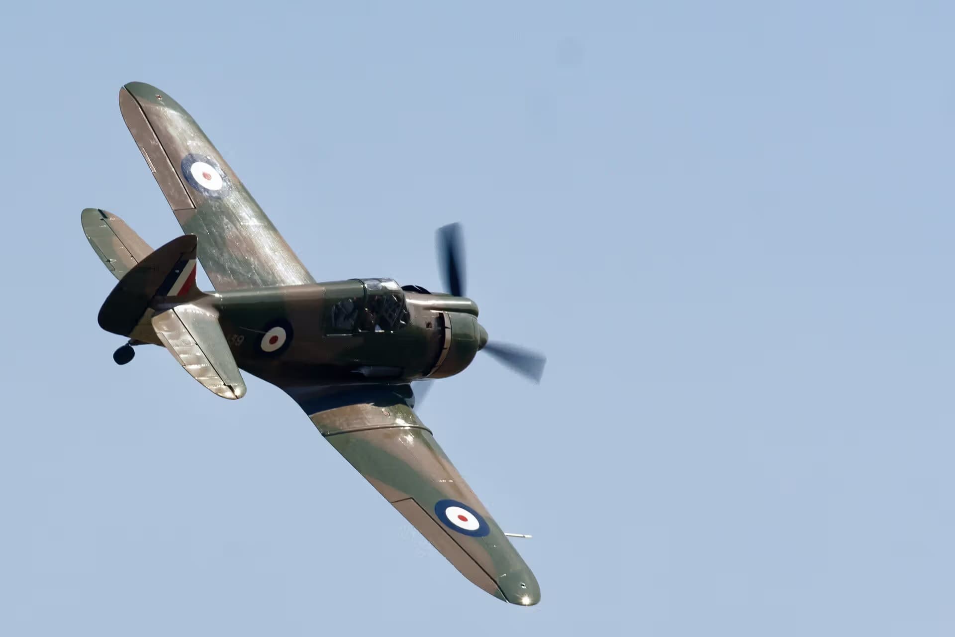 Unidentified — Warbird