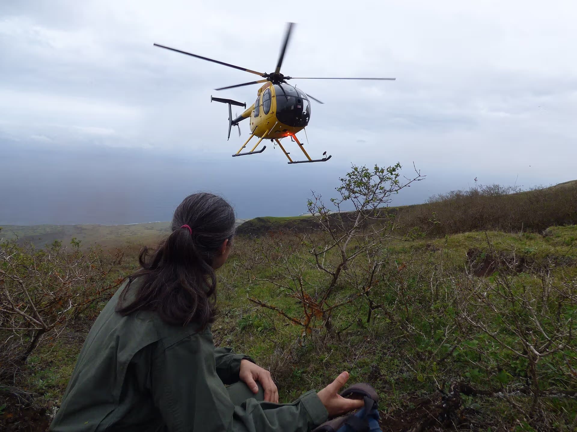 N809WA — Helicopter