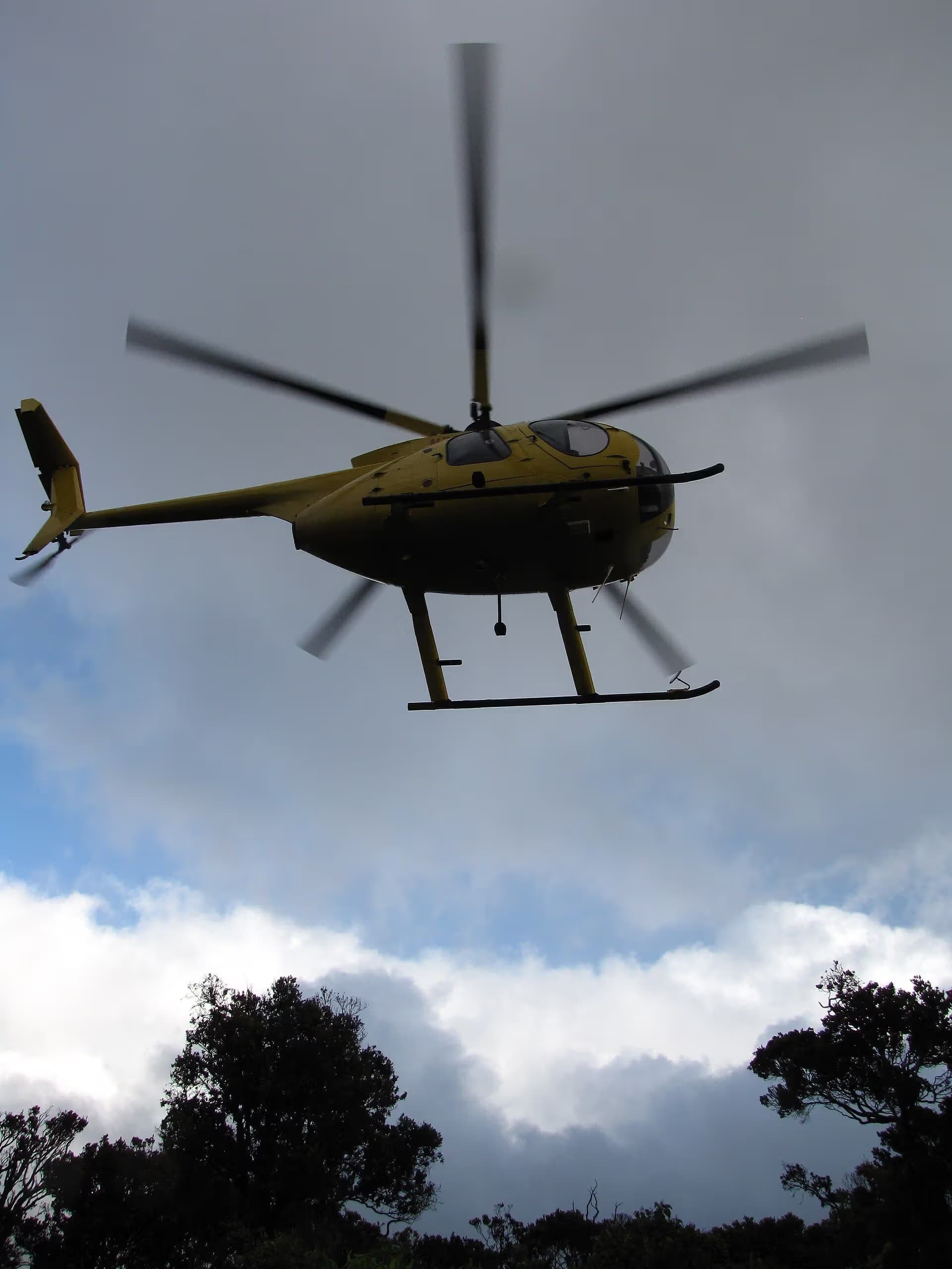 N58251 — Helicopter