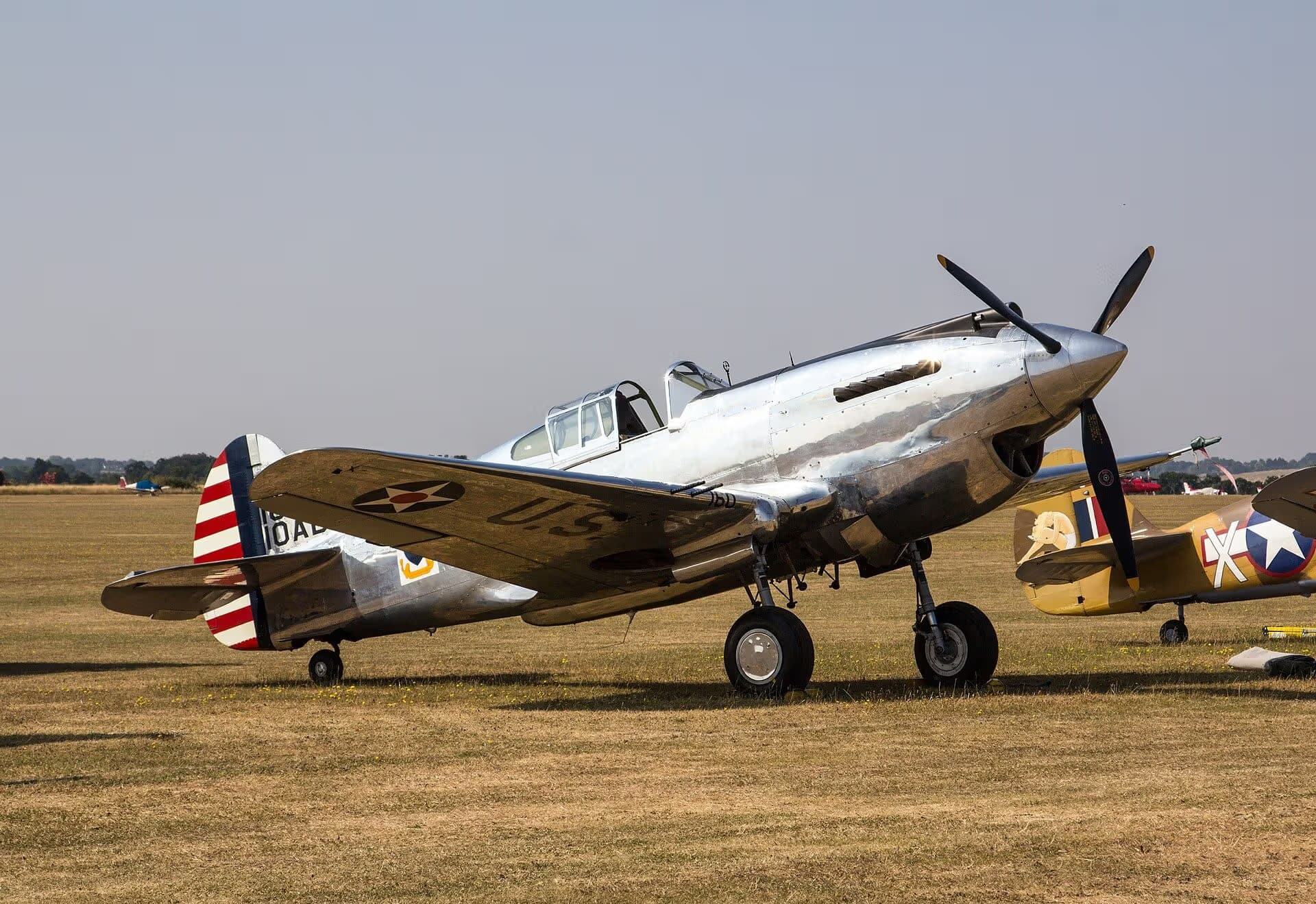 Unidentified — Warbird