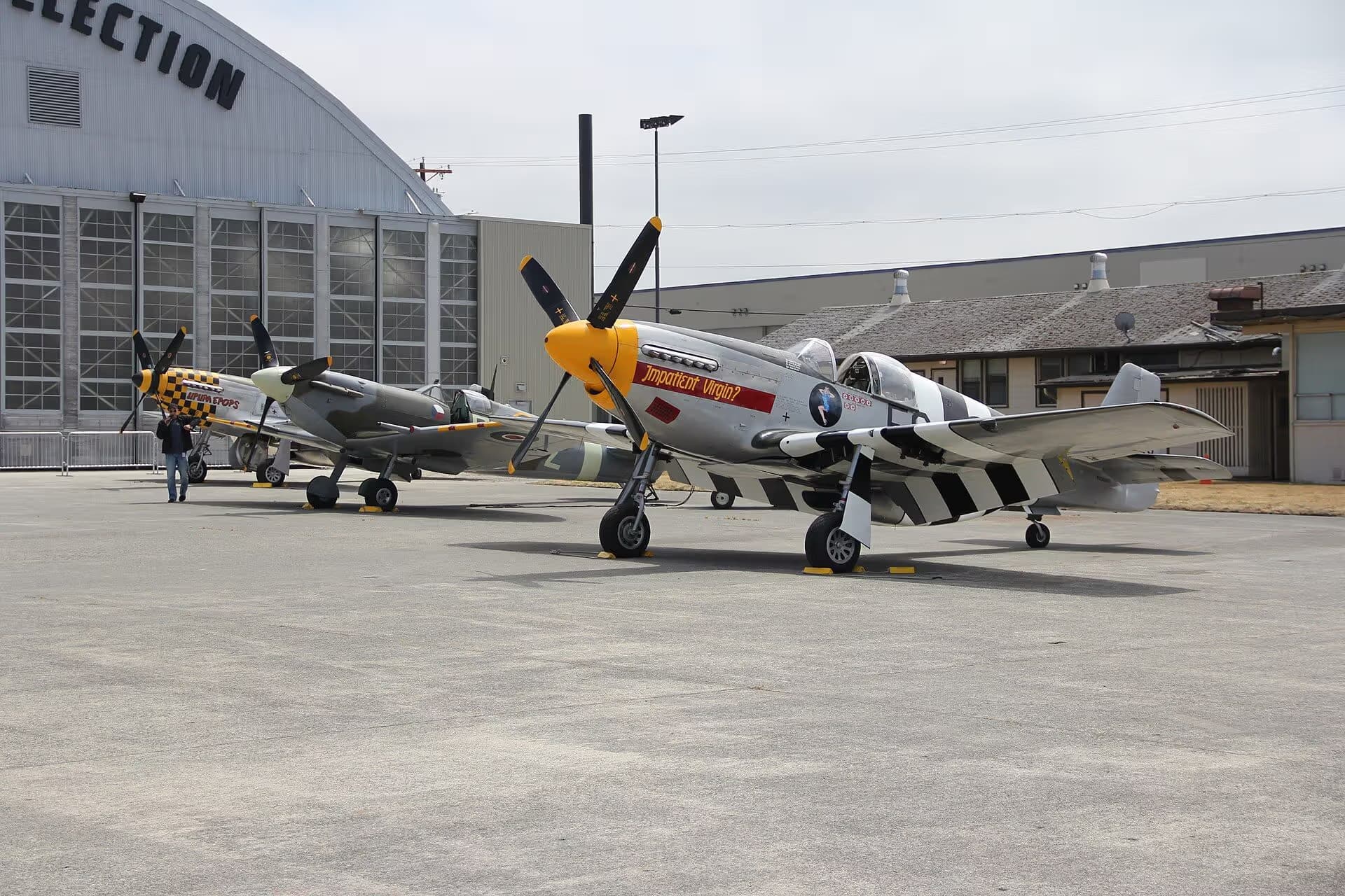 N5087F — Warbird