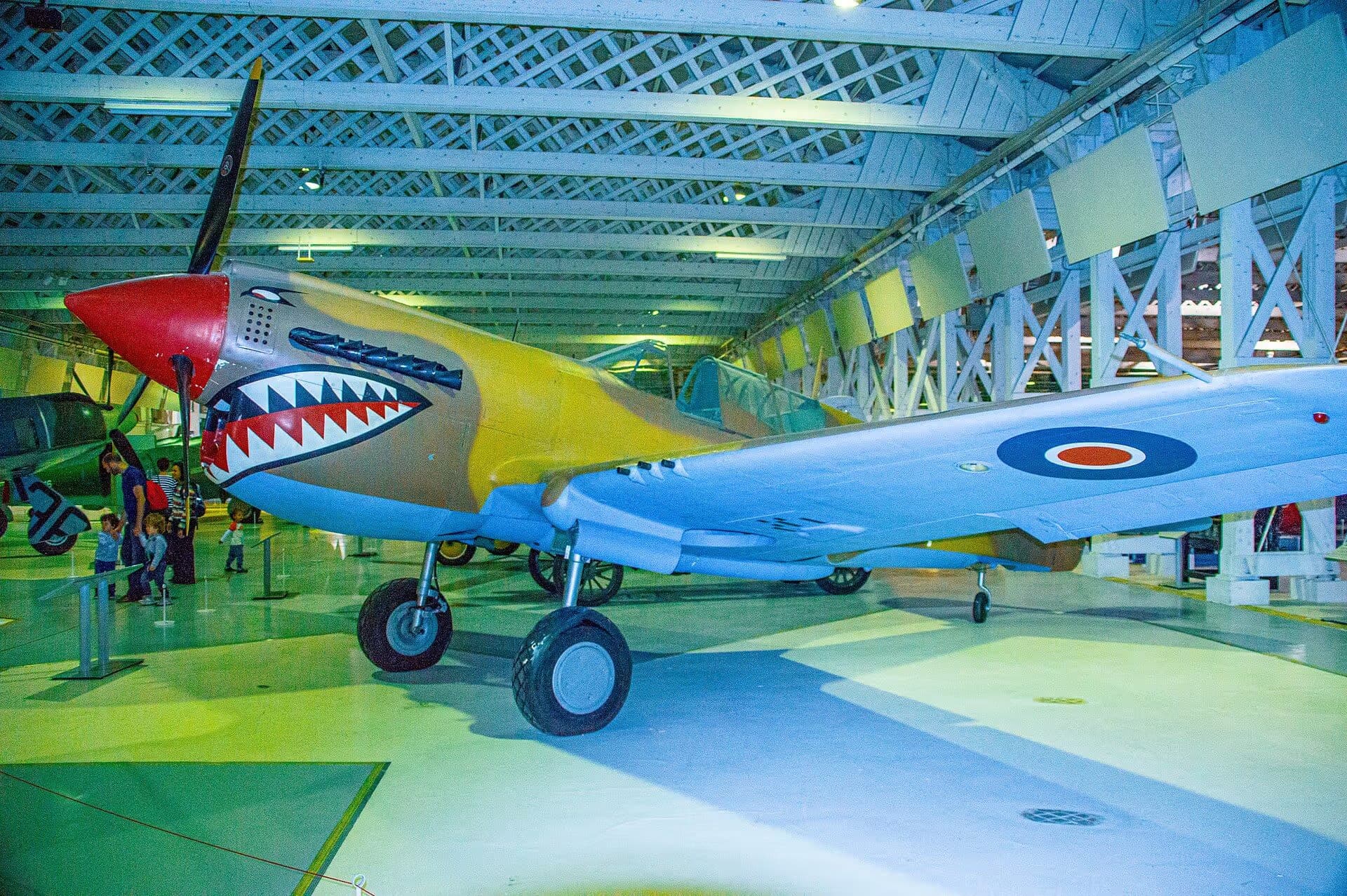 Unidentified — Warbird