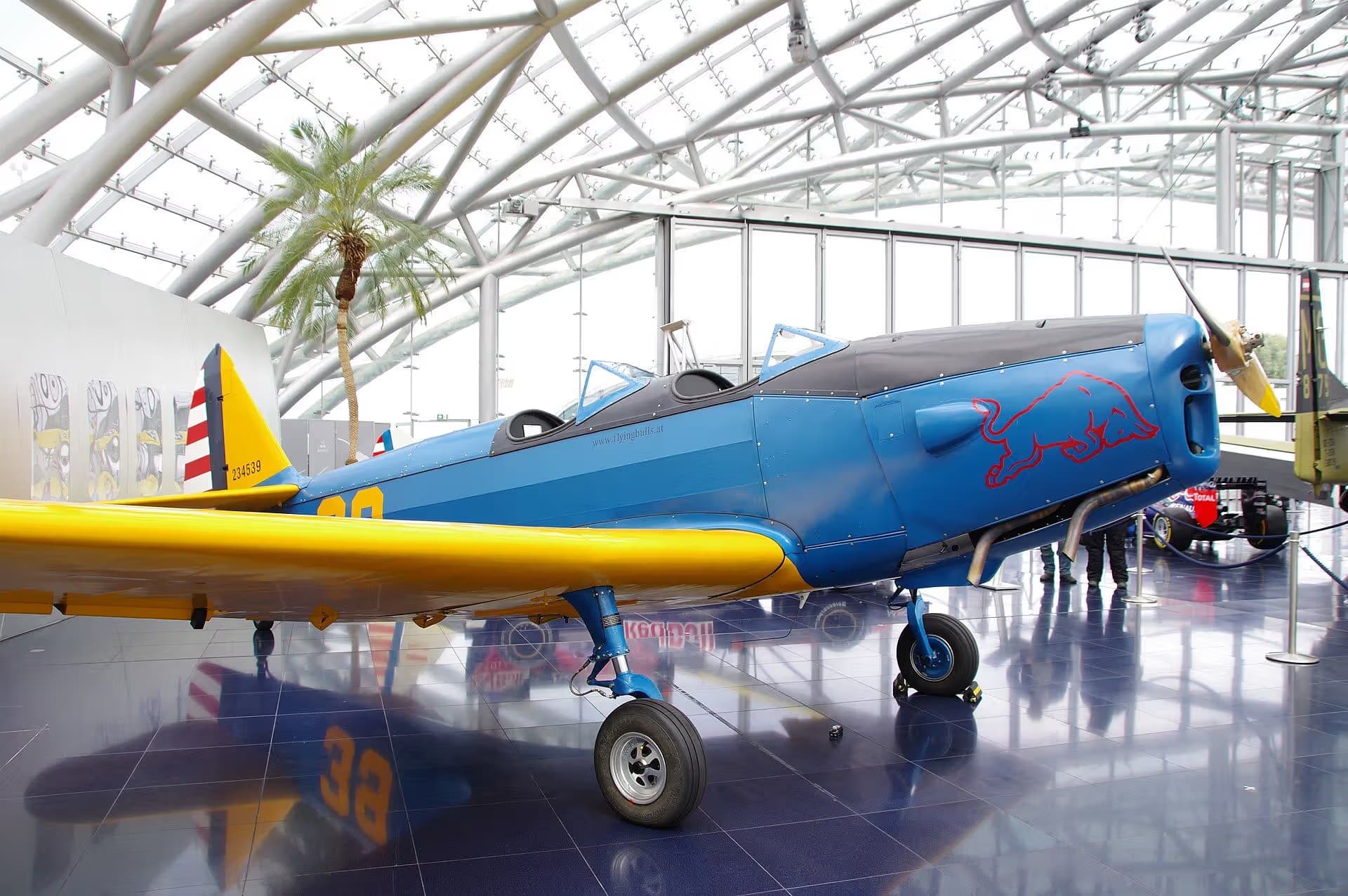 N50429 — Single-engine aircraft