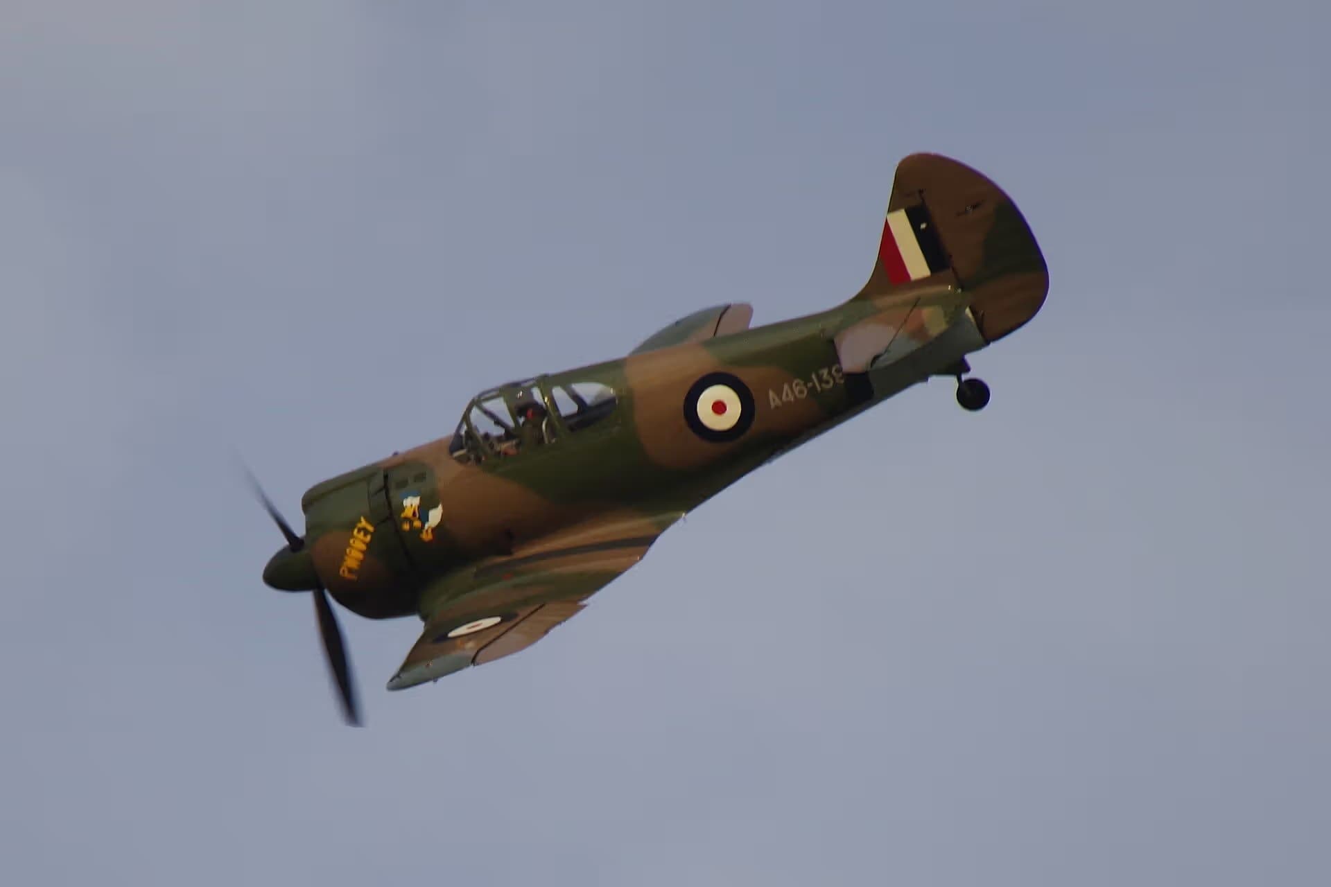 Unidentified — Warbird