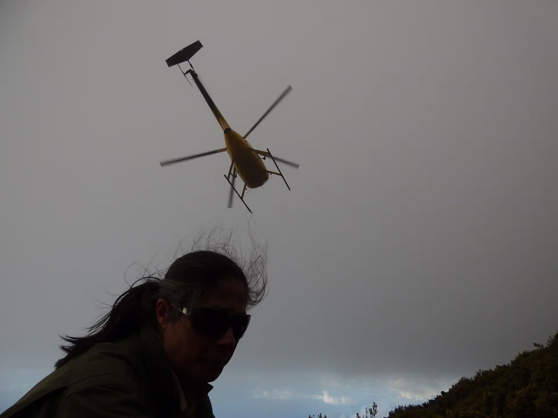 N809WA — Helicopter
