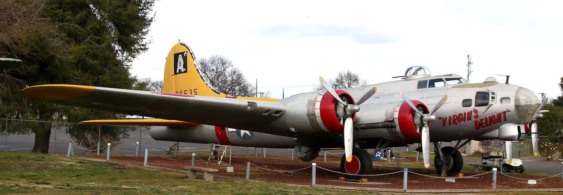 Unidentified — Warbird