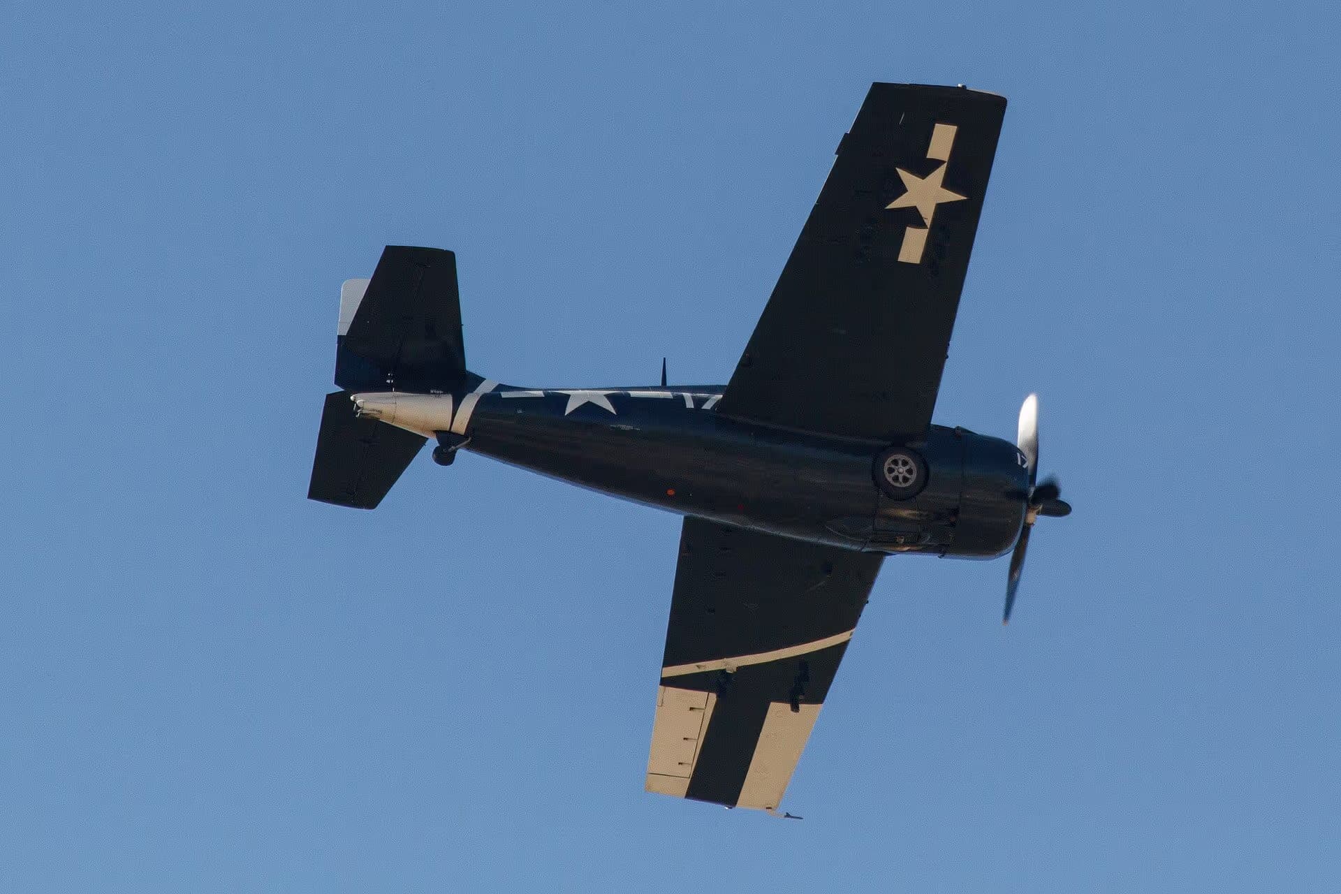 Unidentified — Warbird