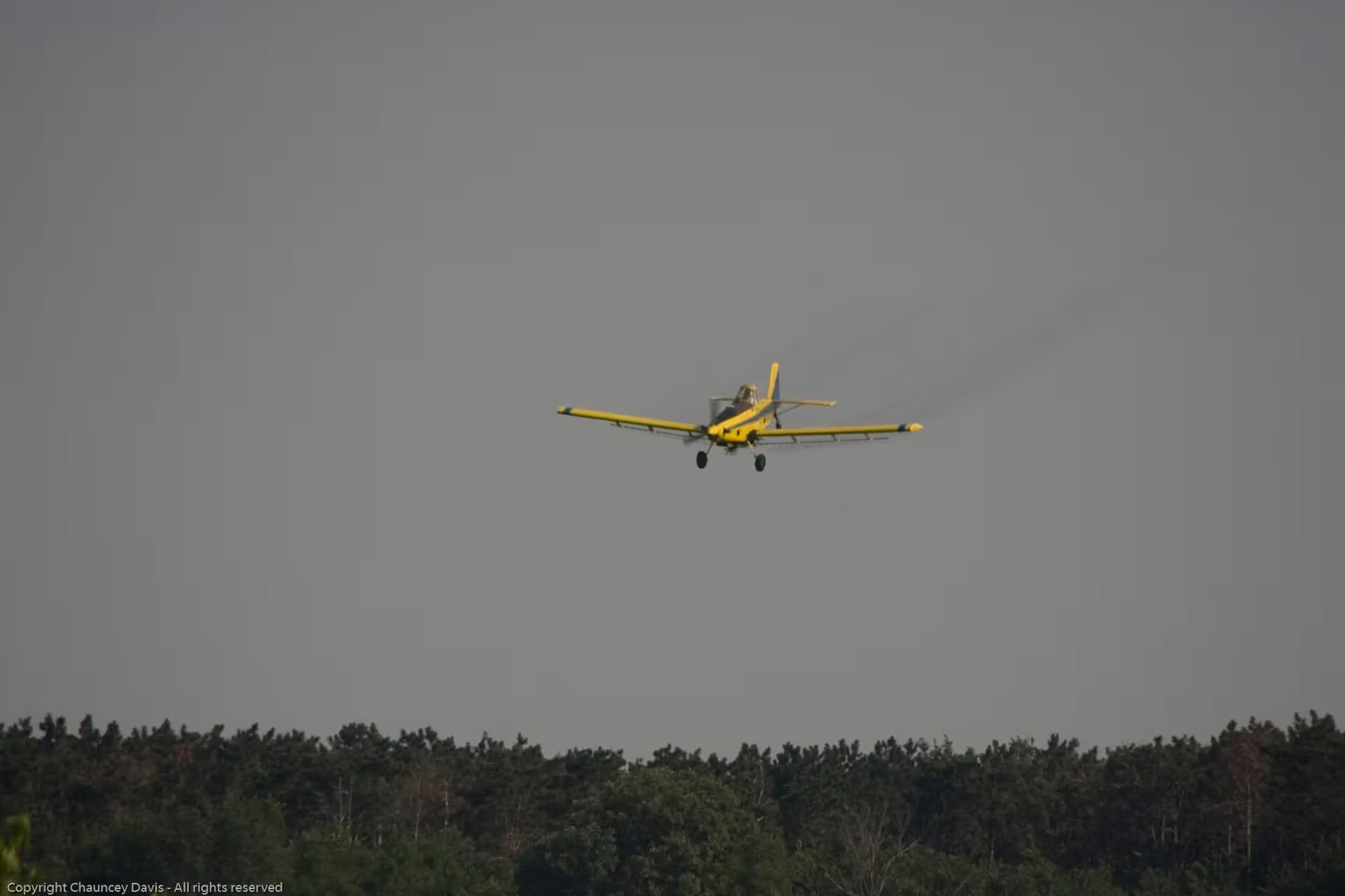 N1531G — Single-engine aircraft