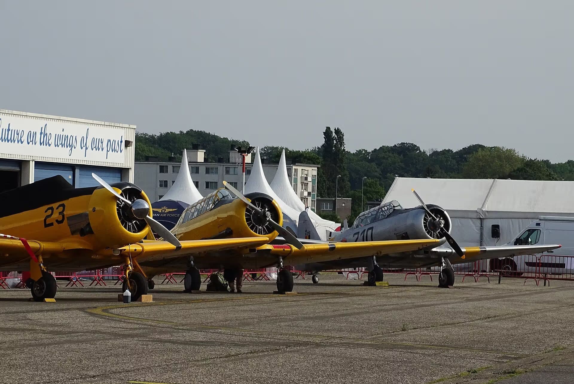 N3286 — Warbird