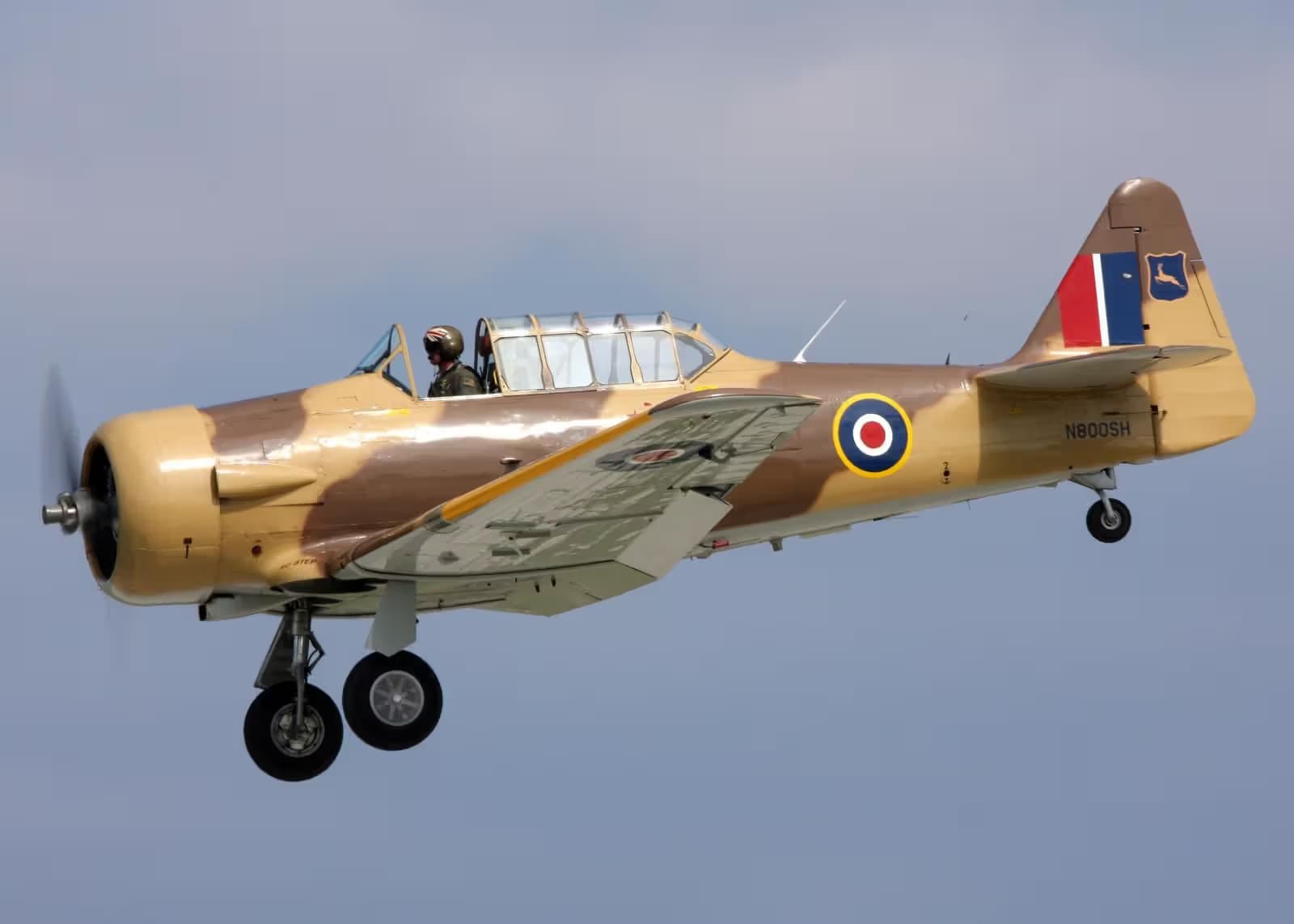 N800SH — Warbird