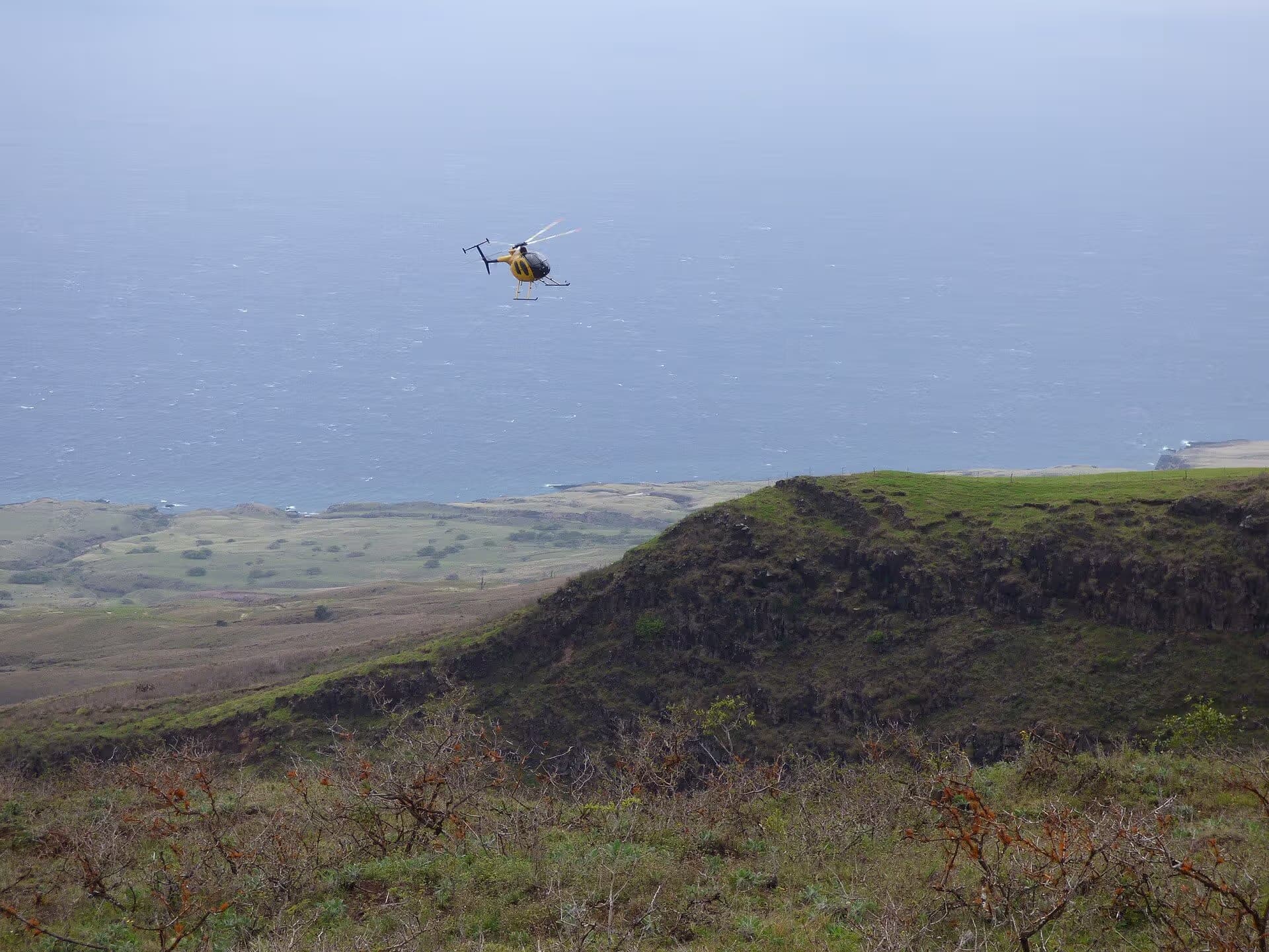 N809WA — Helicopter
