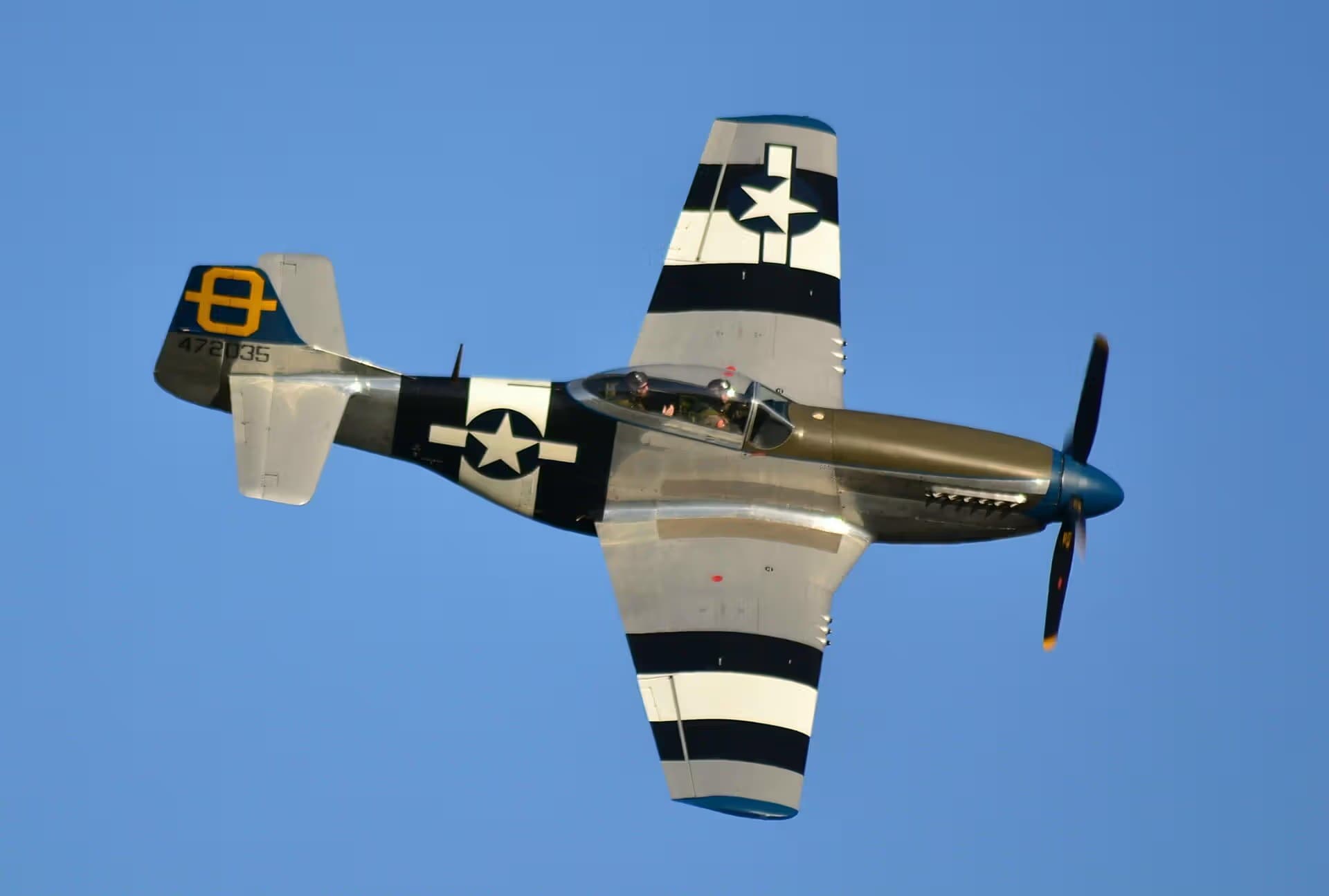 Unidentified — Warbird