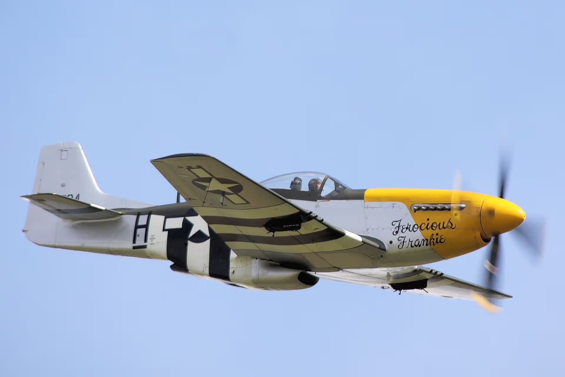 Unidentified — Warbird