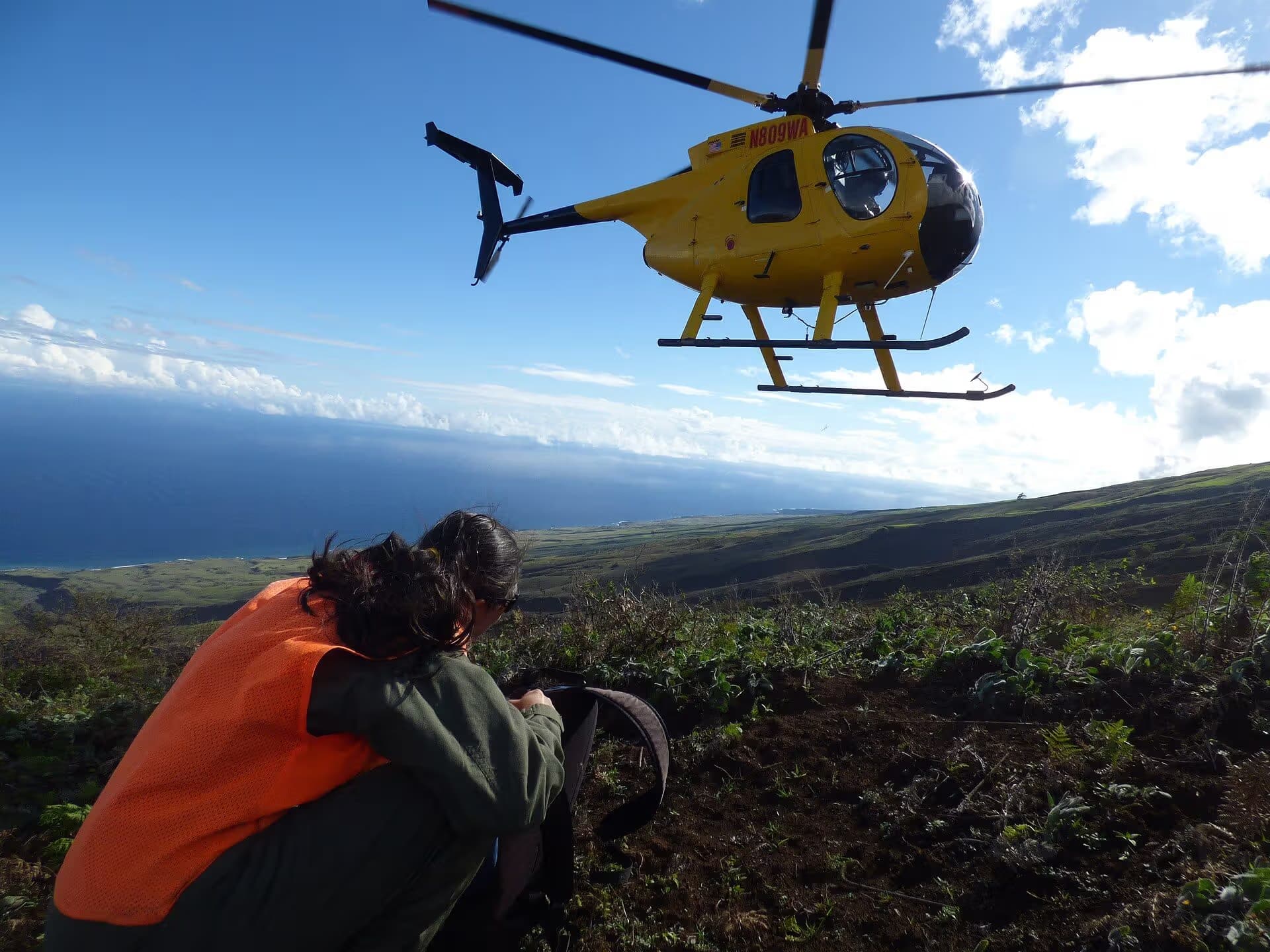 N809WA — Helicopter