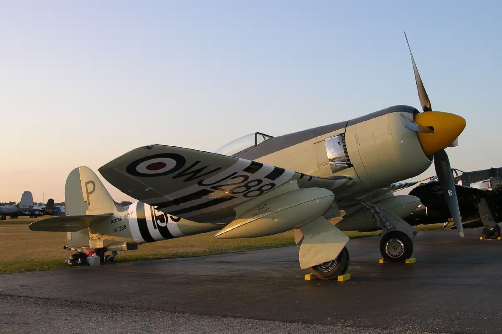Unidentified — Warbird