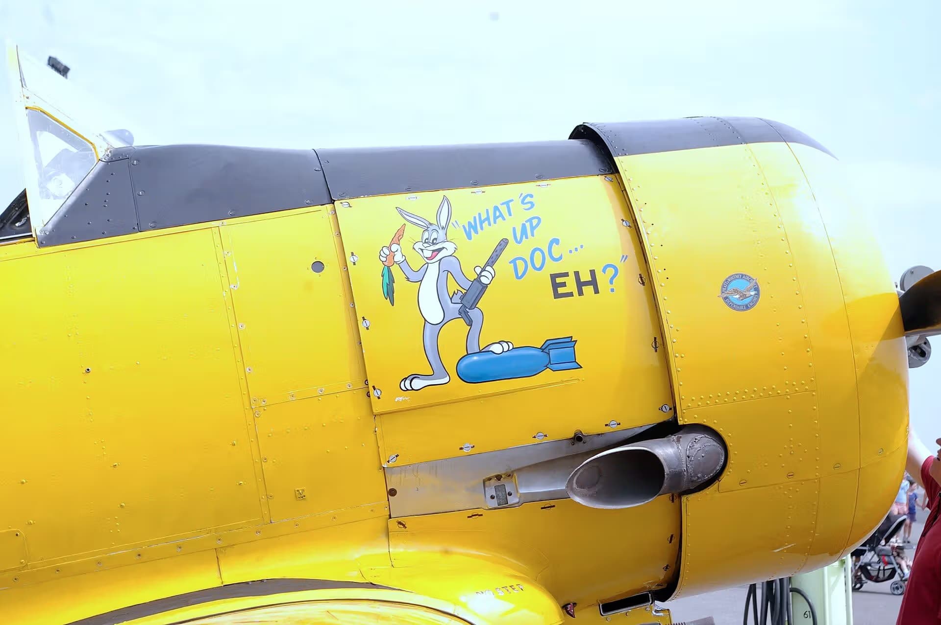 N9793Z — Warbird