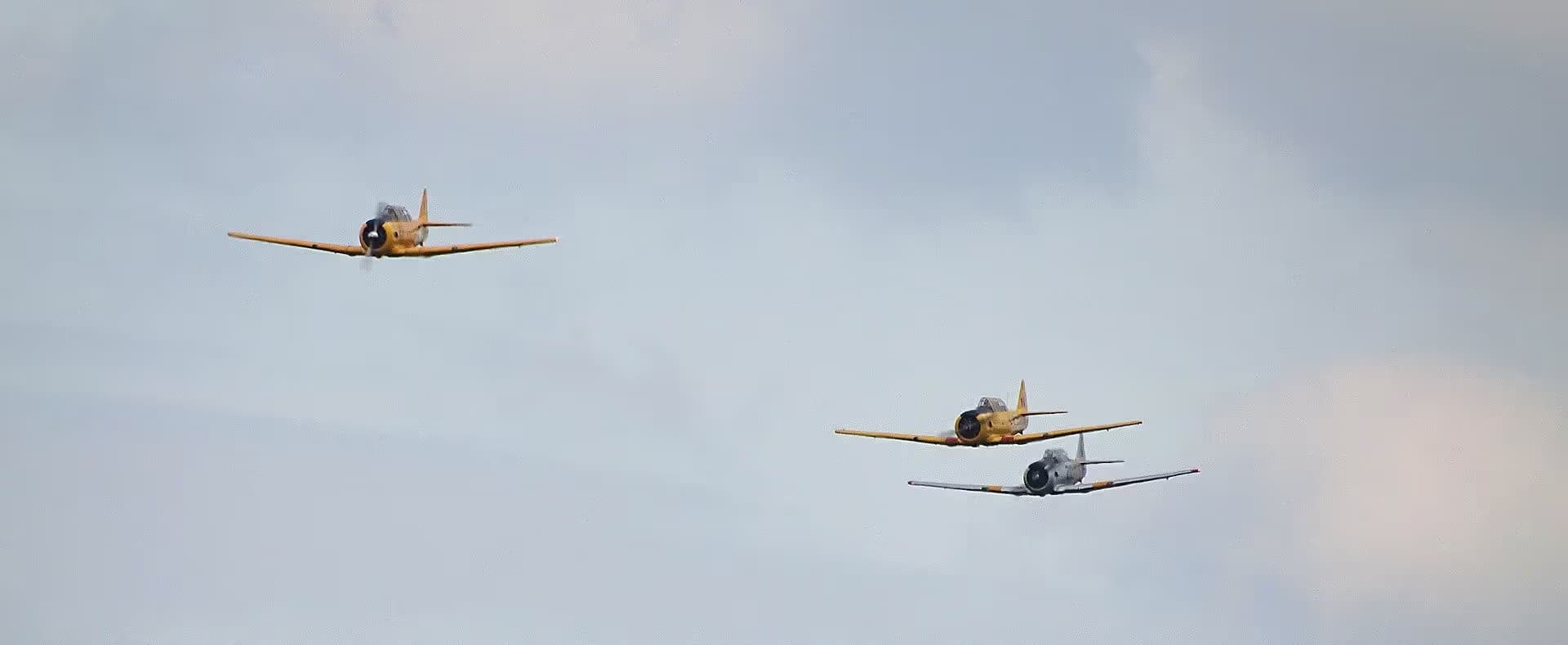 N3286 — Warbird