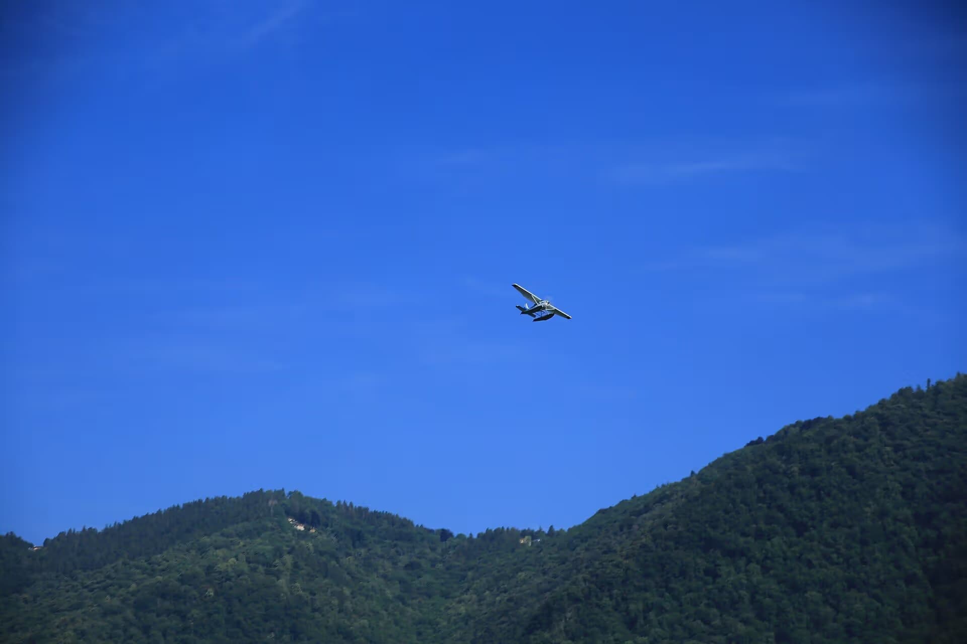N206BJ — Single-engine aircraft