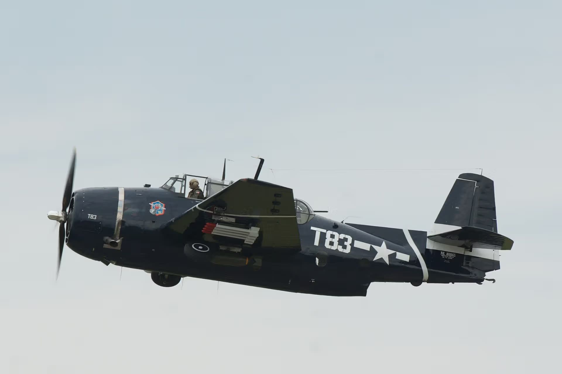 N81865 — Single-engine aircraft