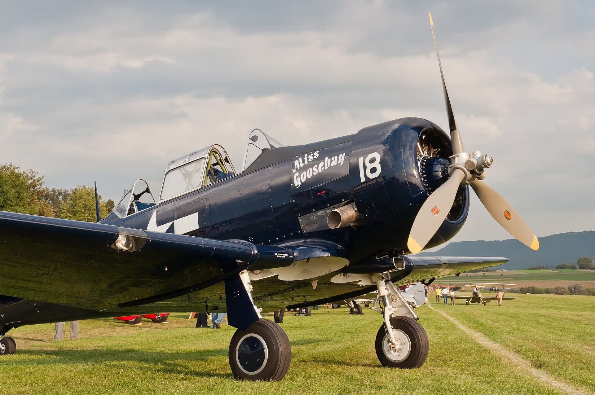 N6593D — Single-engine aircraft